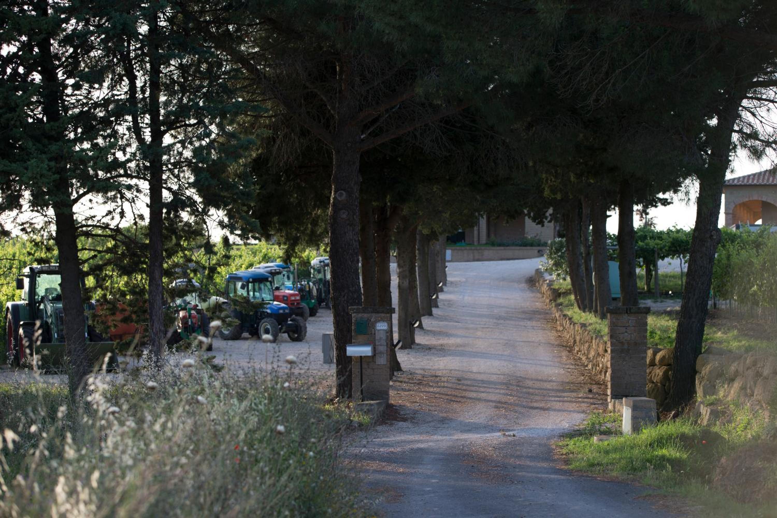 Agriturismo Poggio Al Tufo
