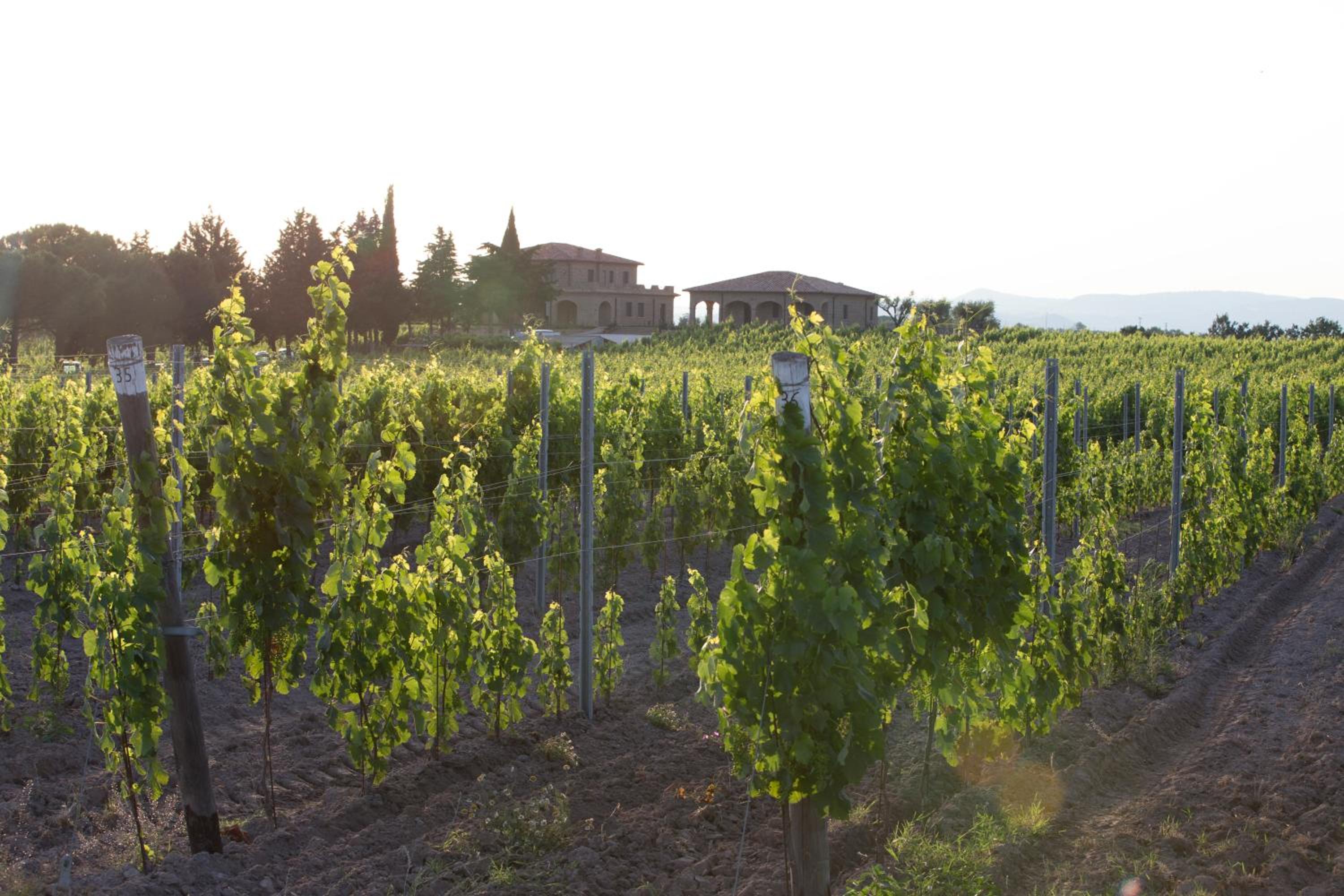 Agriturismo Poggio Al Tufo