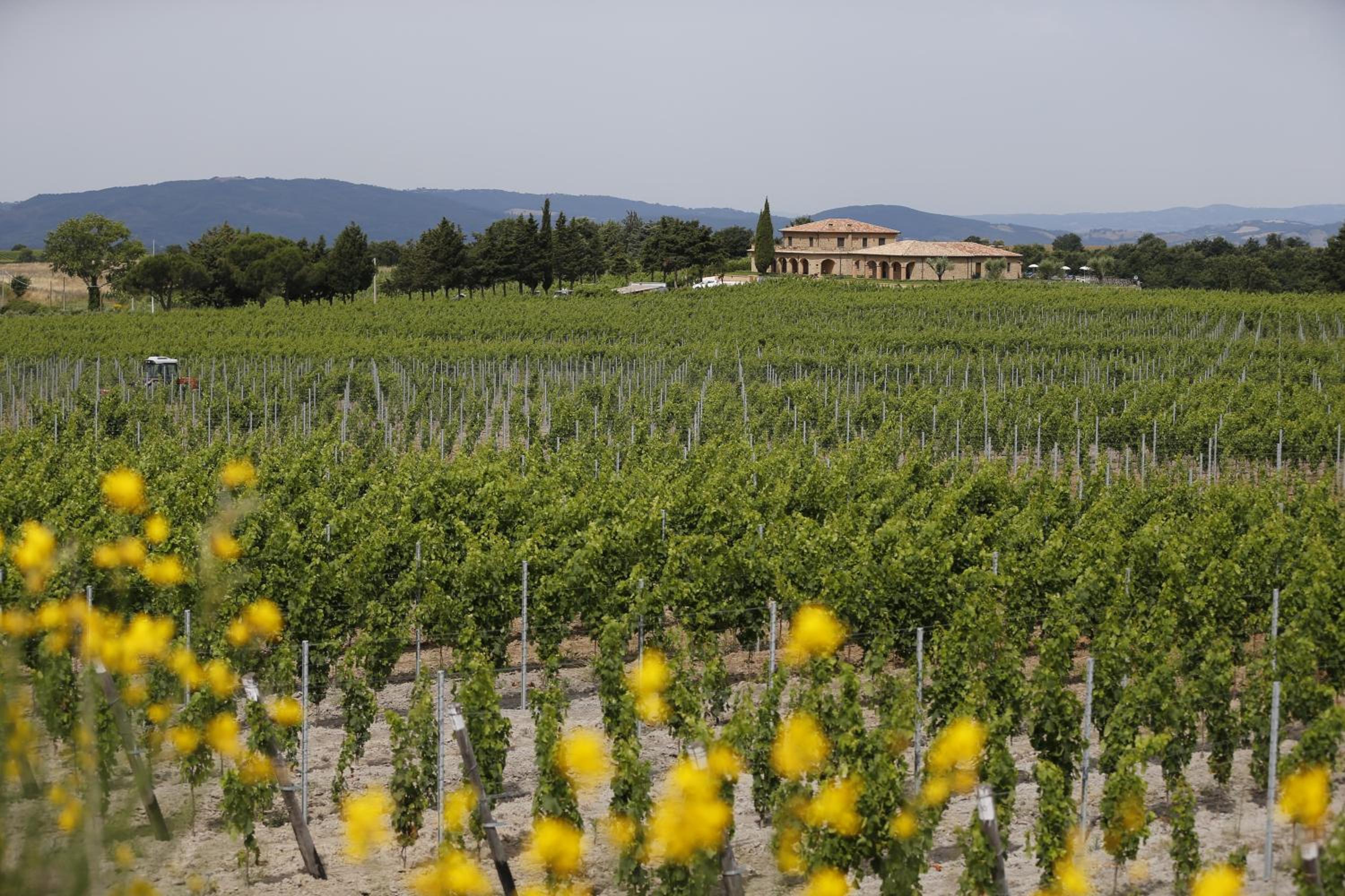 Agriturismo Poggio Al Tufo