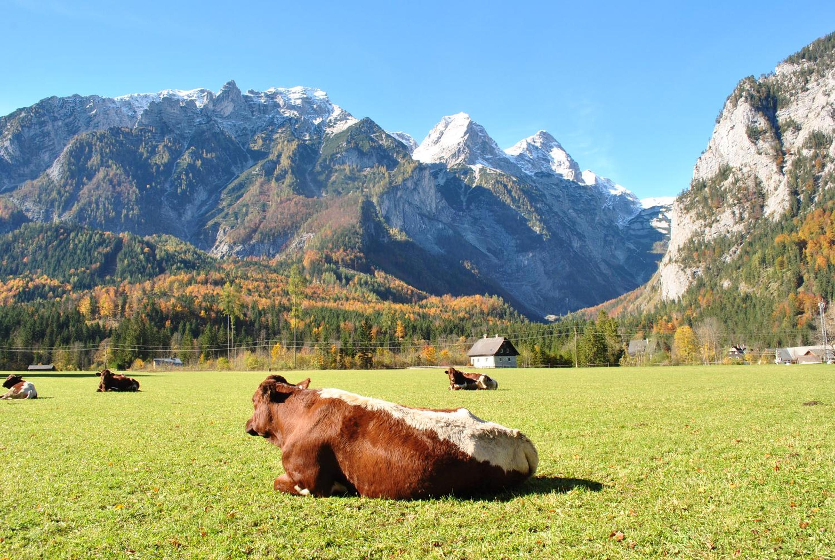 Photo 13