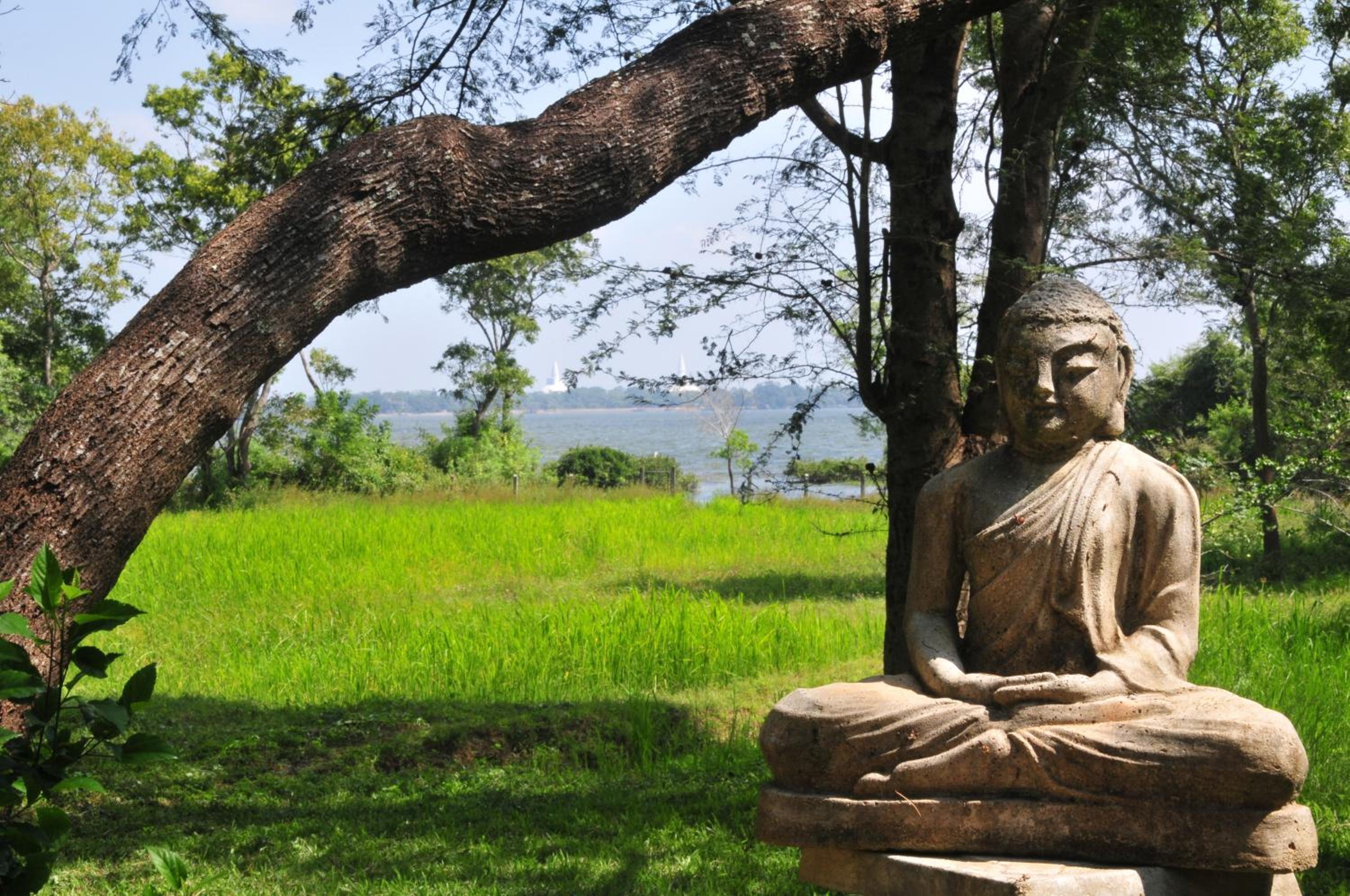 Waters Edge, Anuradhapura view 2