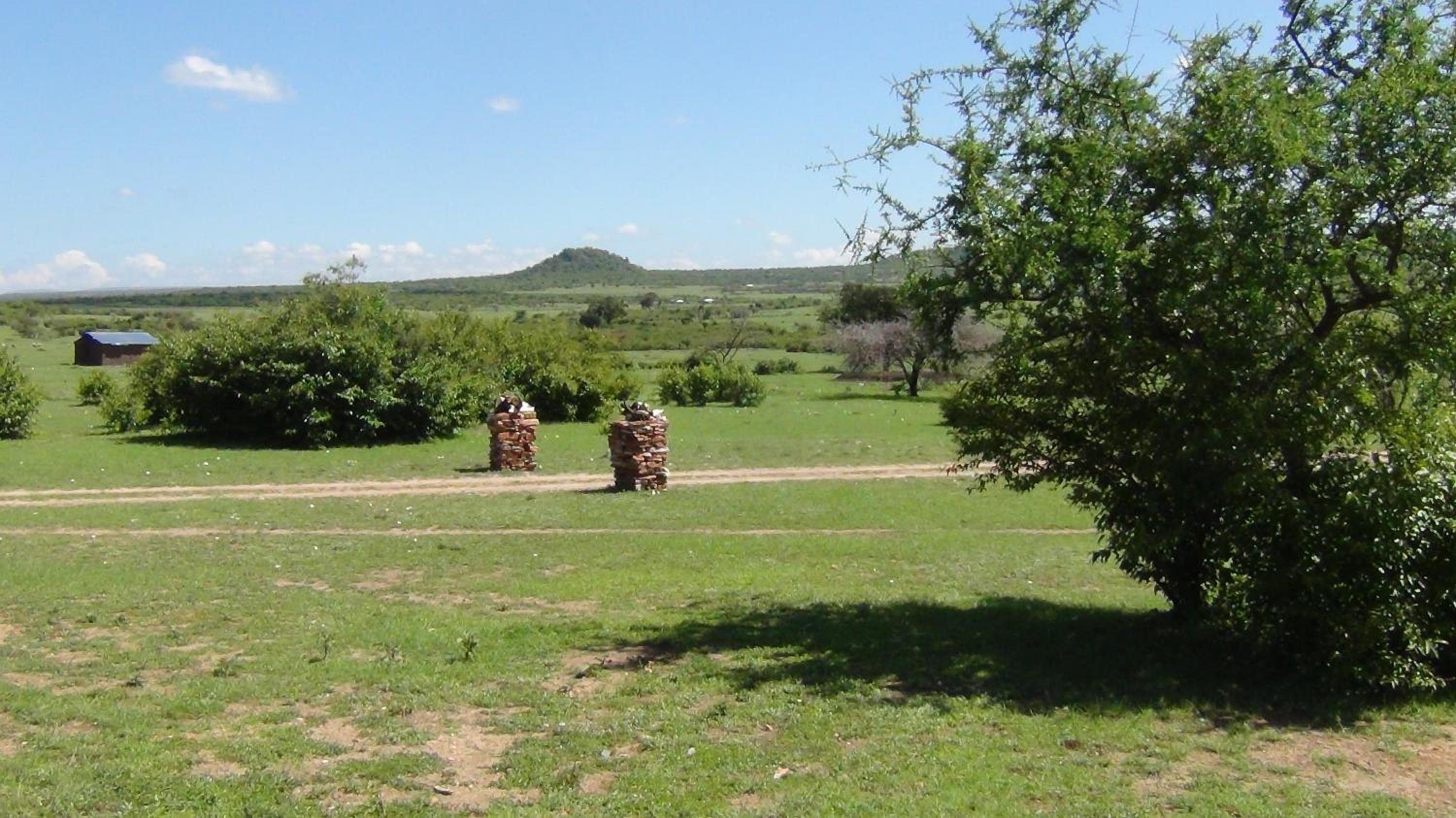 Photo 42