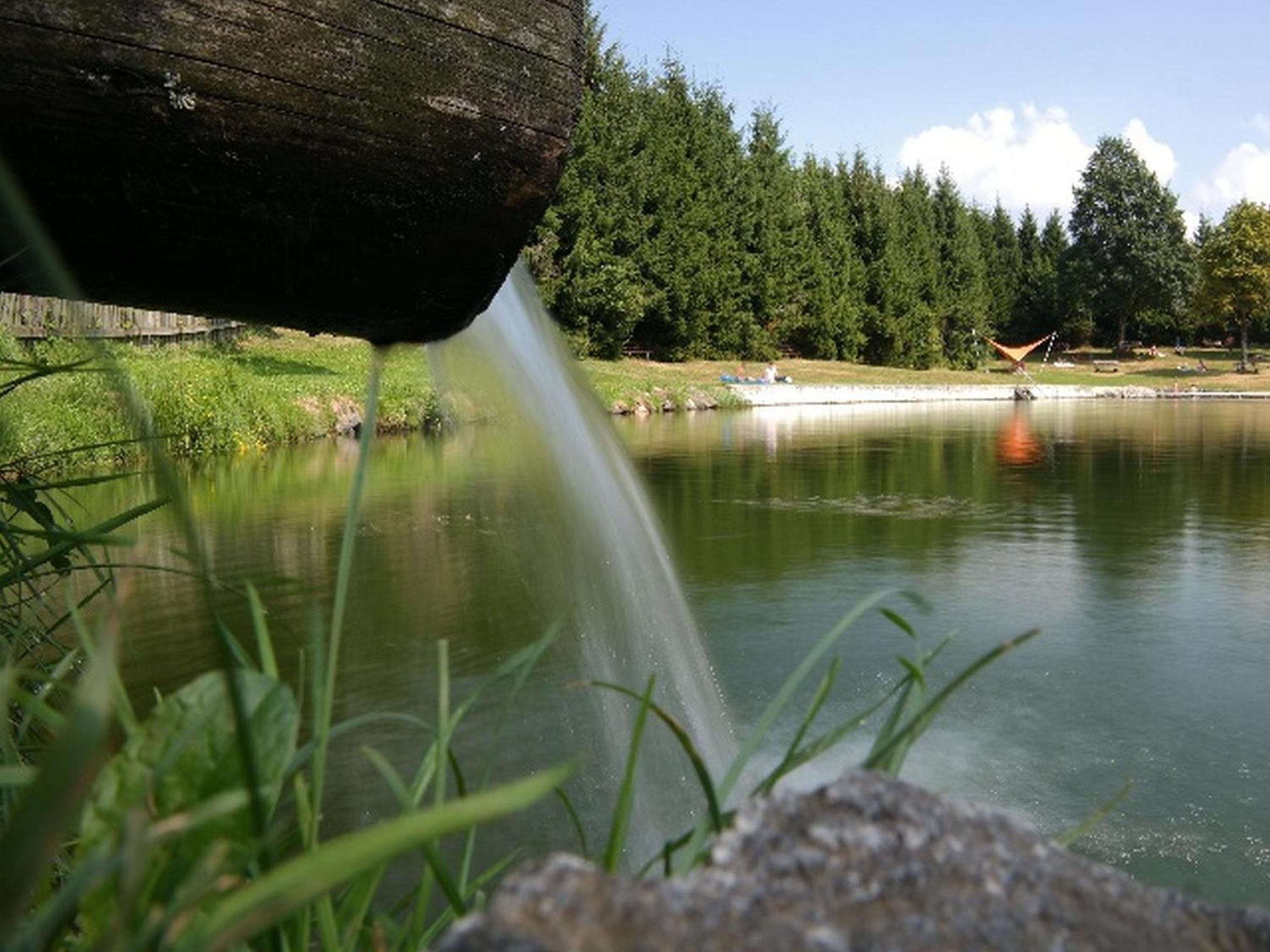 Schreinerhäusle nähe Titisee view 3