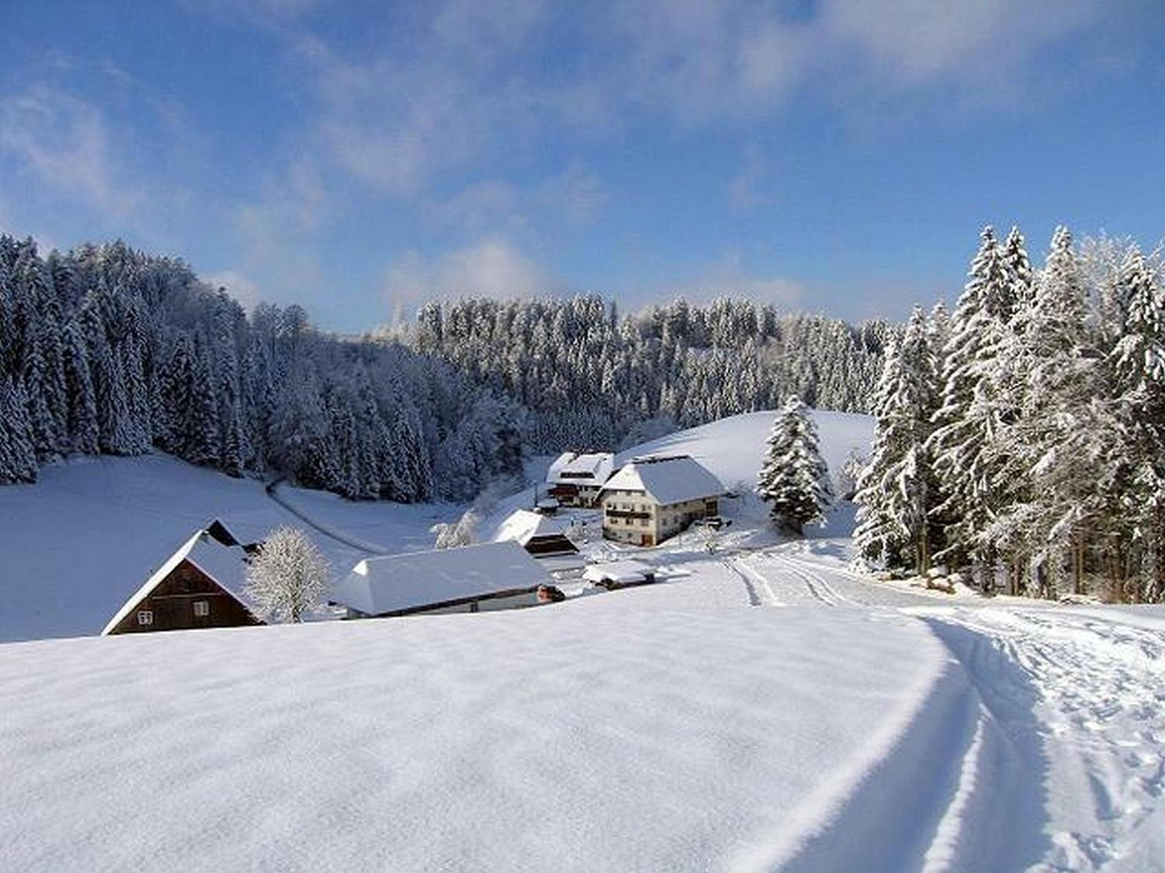 Schreinerhäusle nähe Titisee view 2