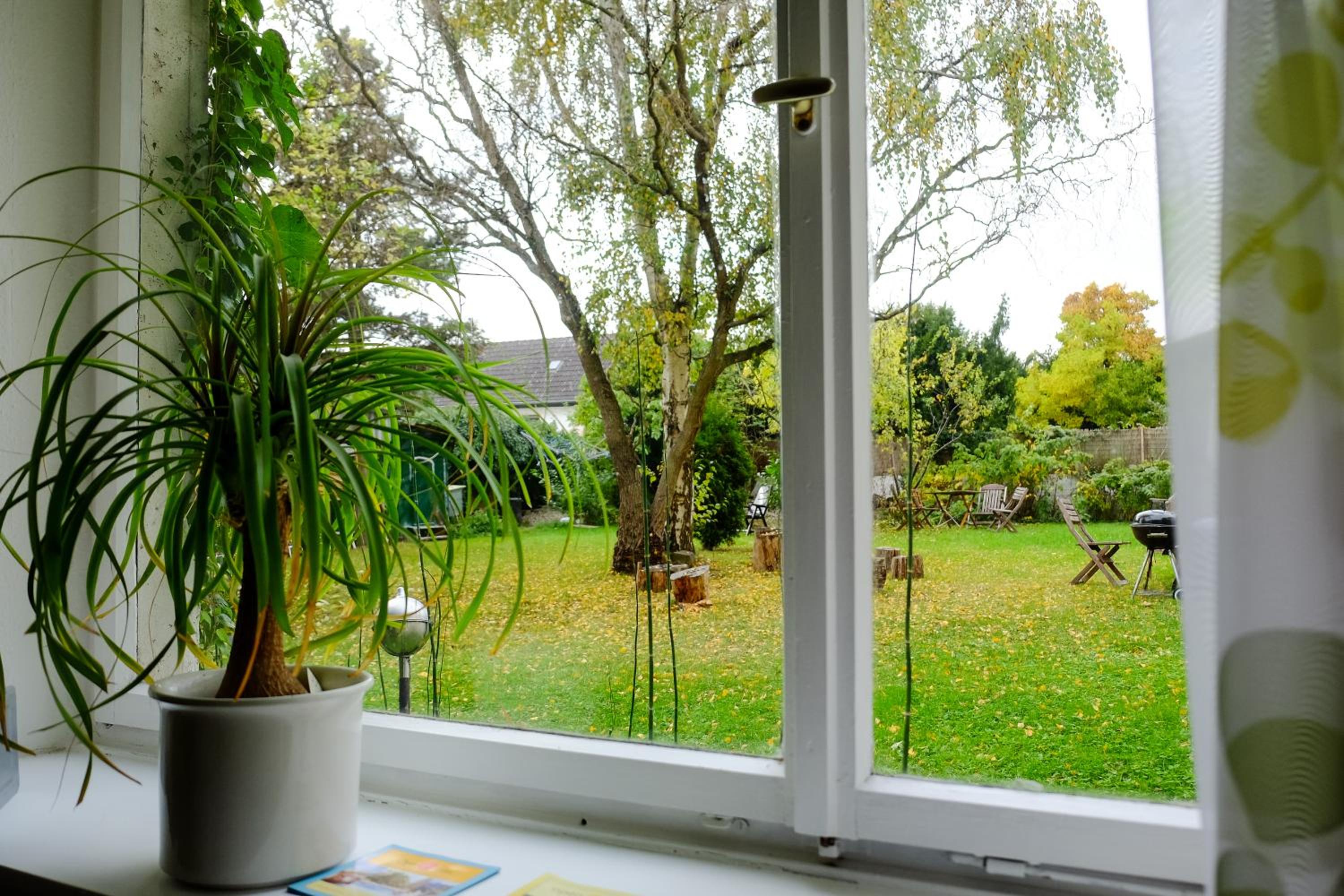 Rhein River Guesthouse - direkt am Rhein