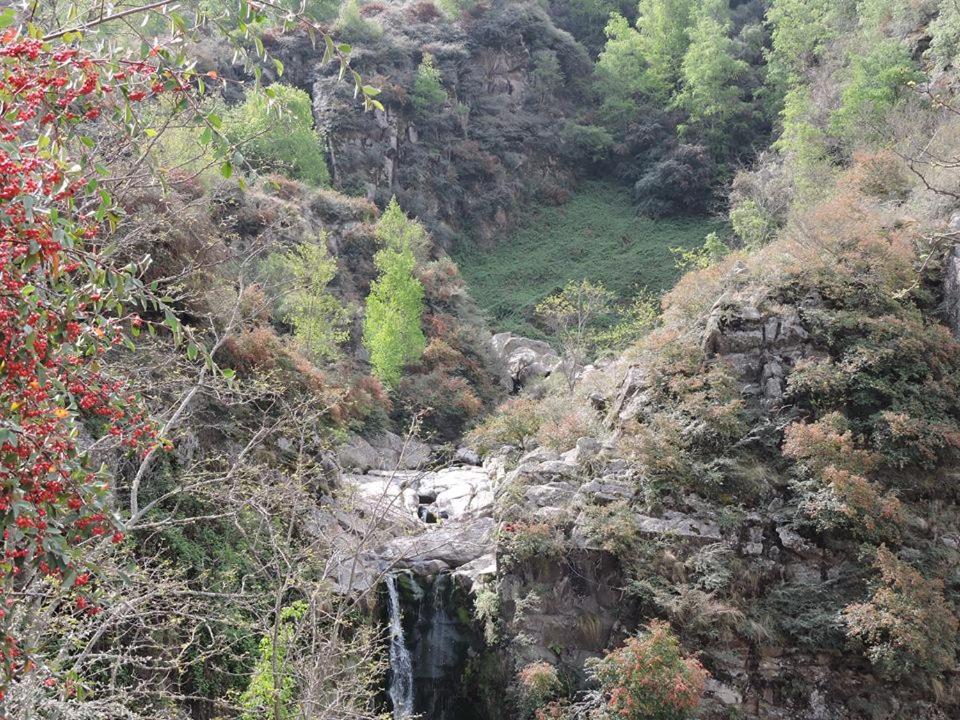 Cabañas Campo Huasi
