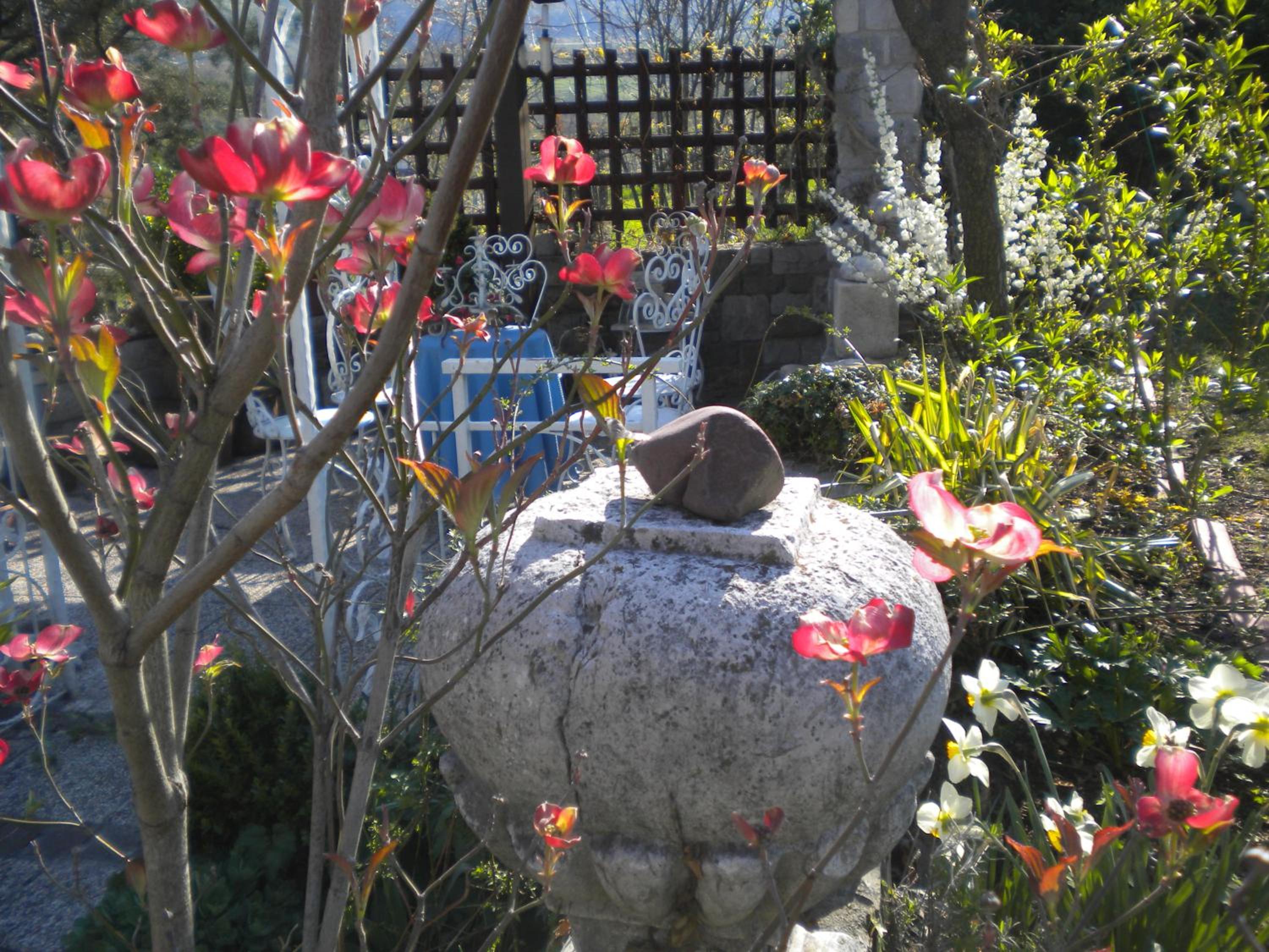 Holiday Home Slavi, photo 9