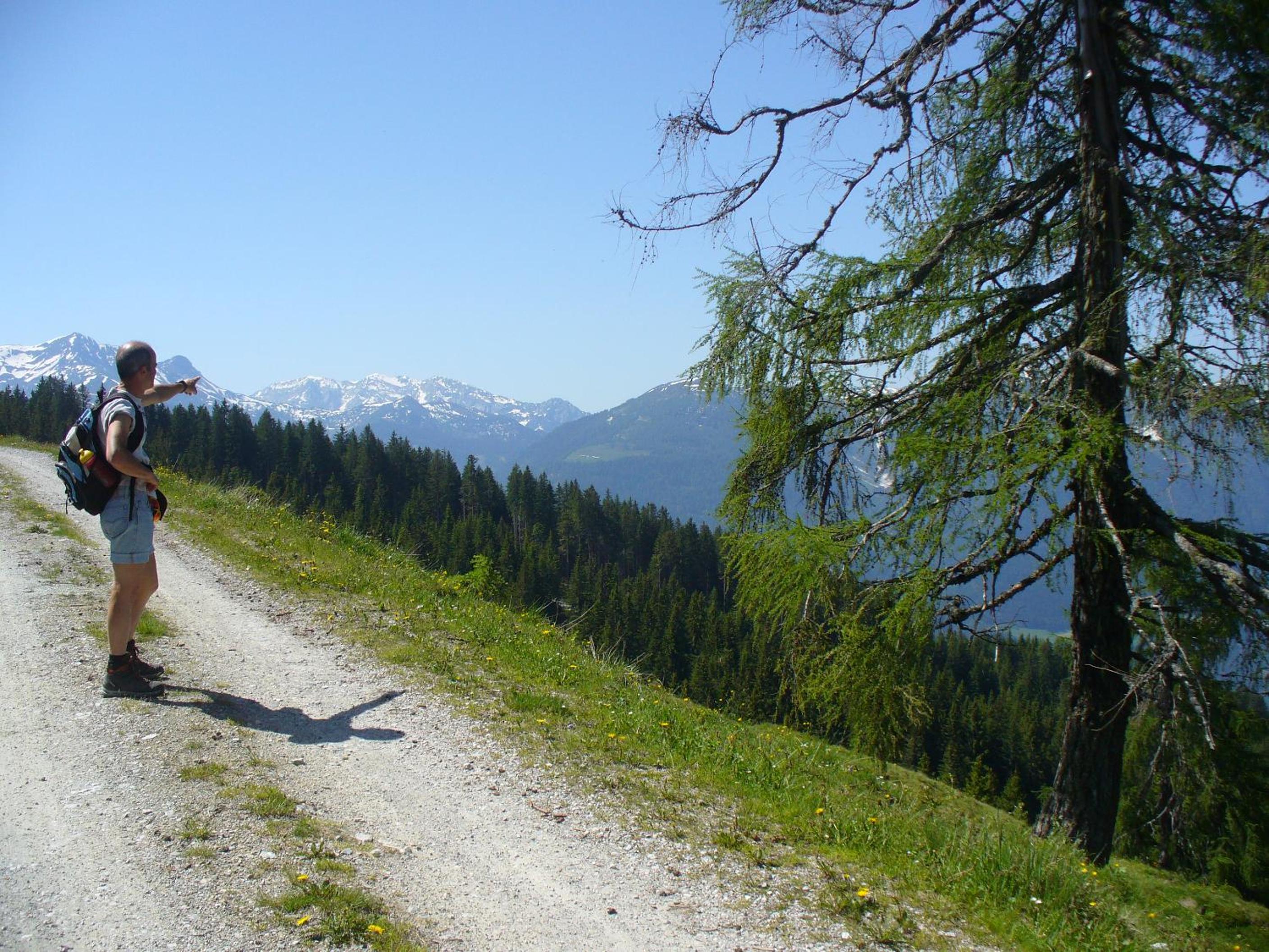 FerienFuchs