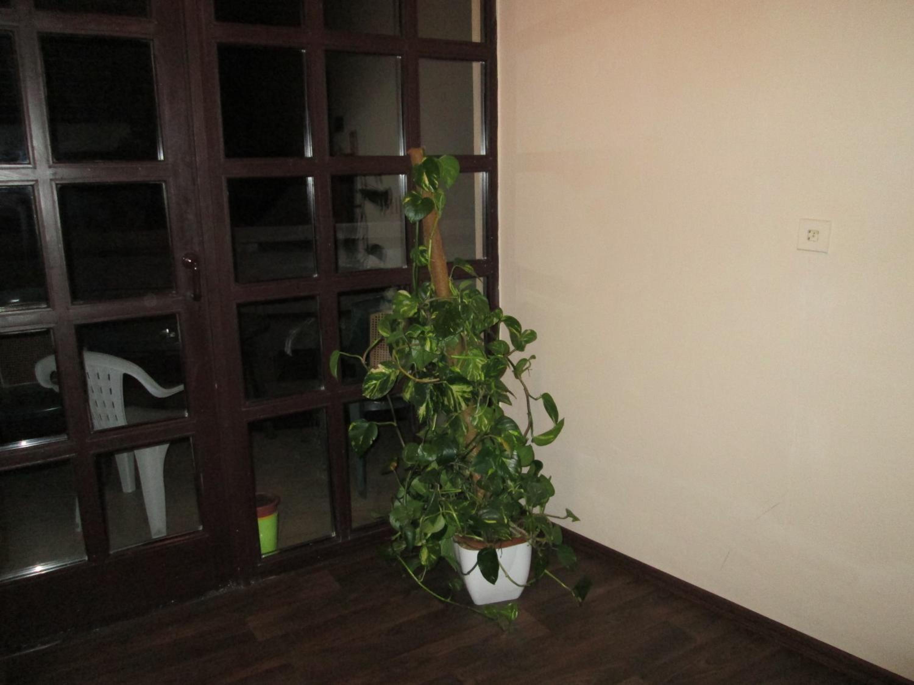 Photo 34