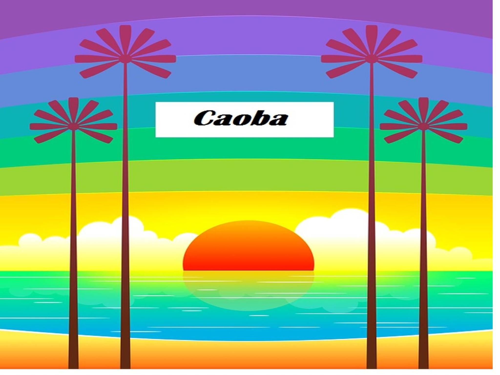 Caoba view 4