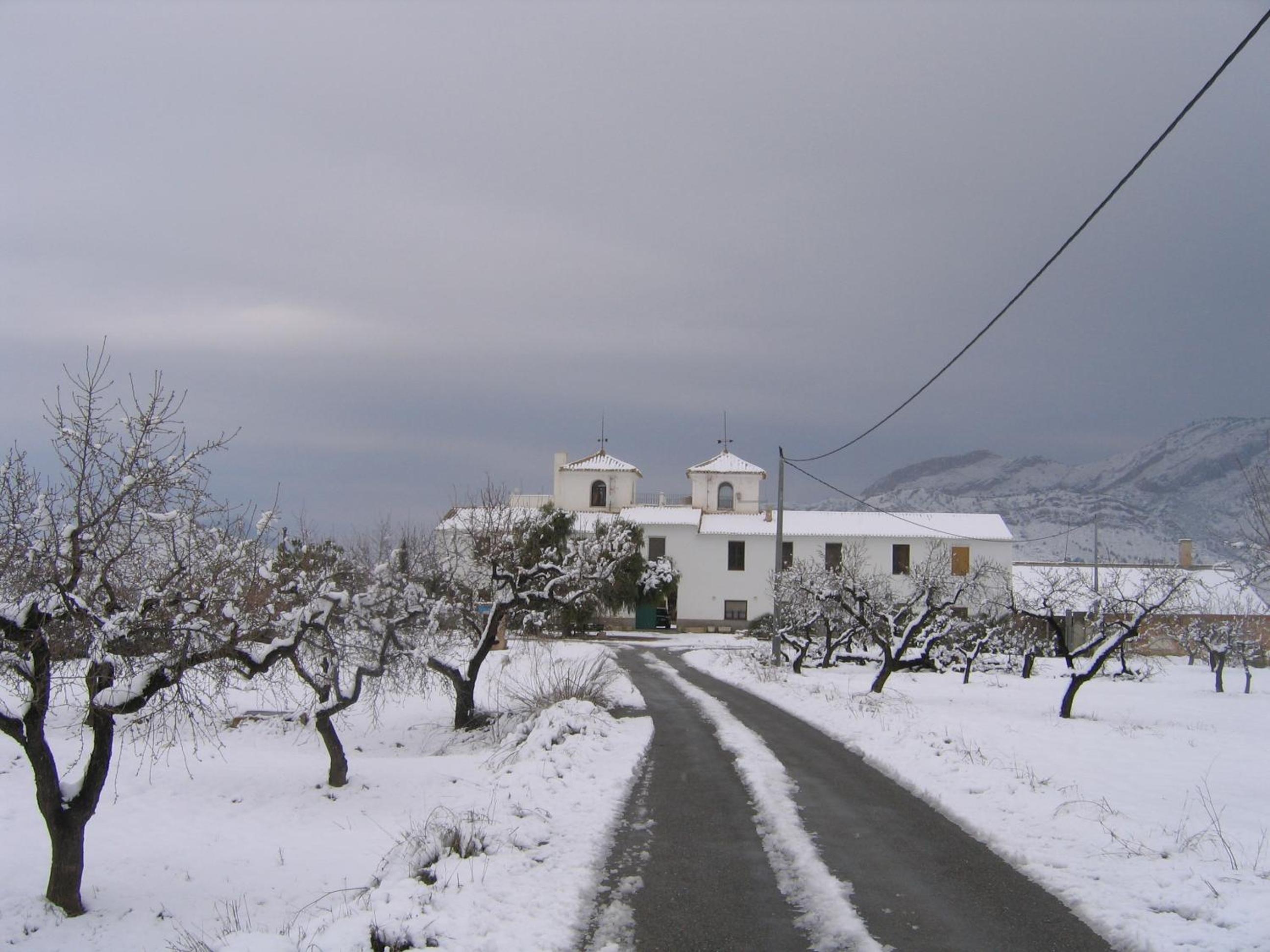 Cortijo de los Castellanos view 2