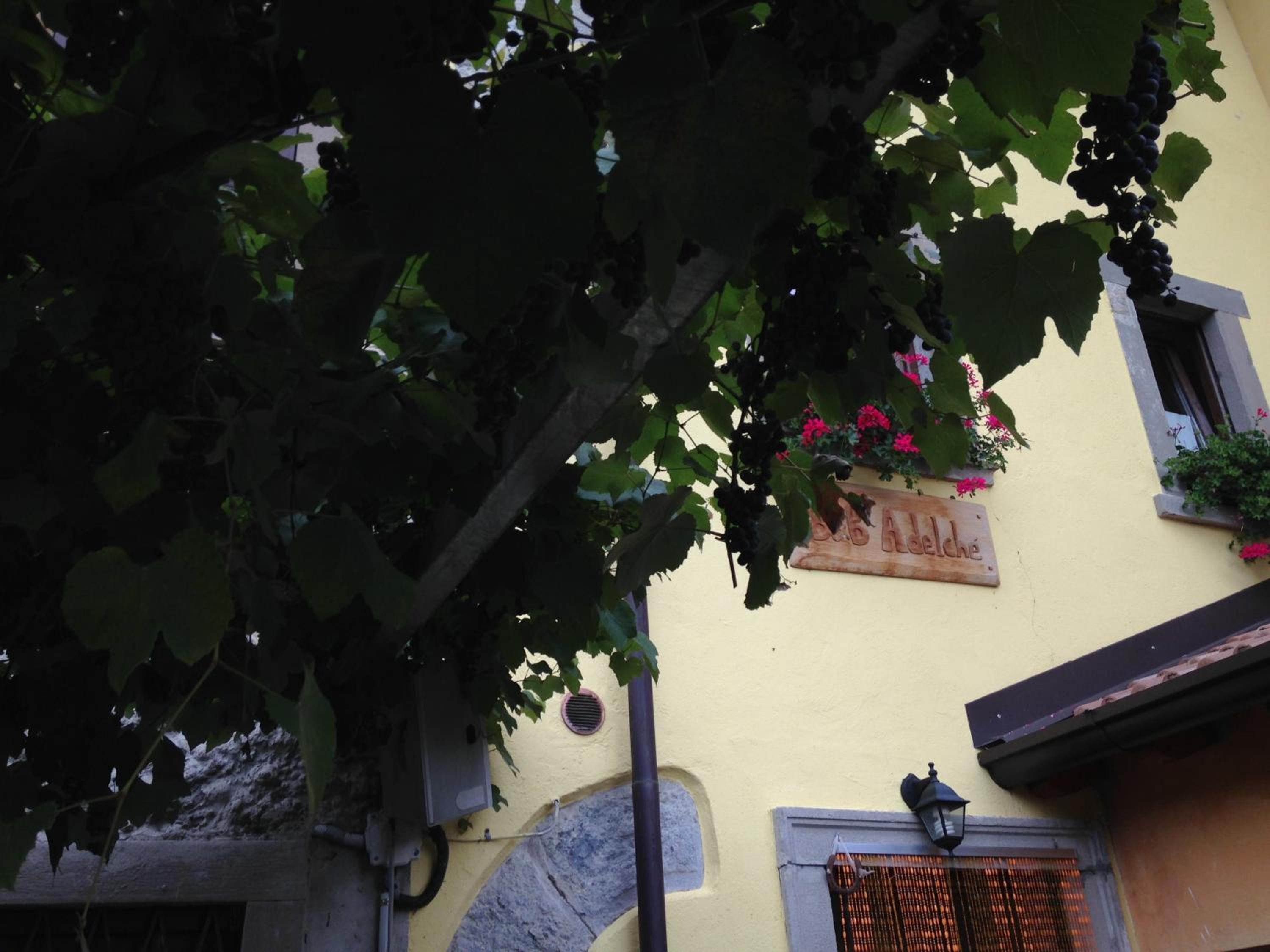 Photo 36