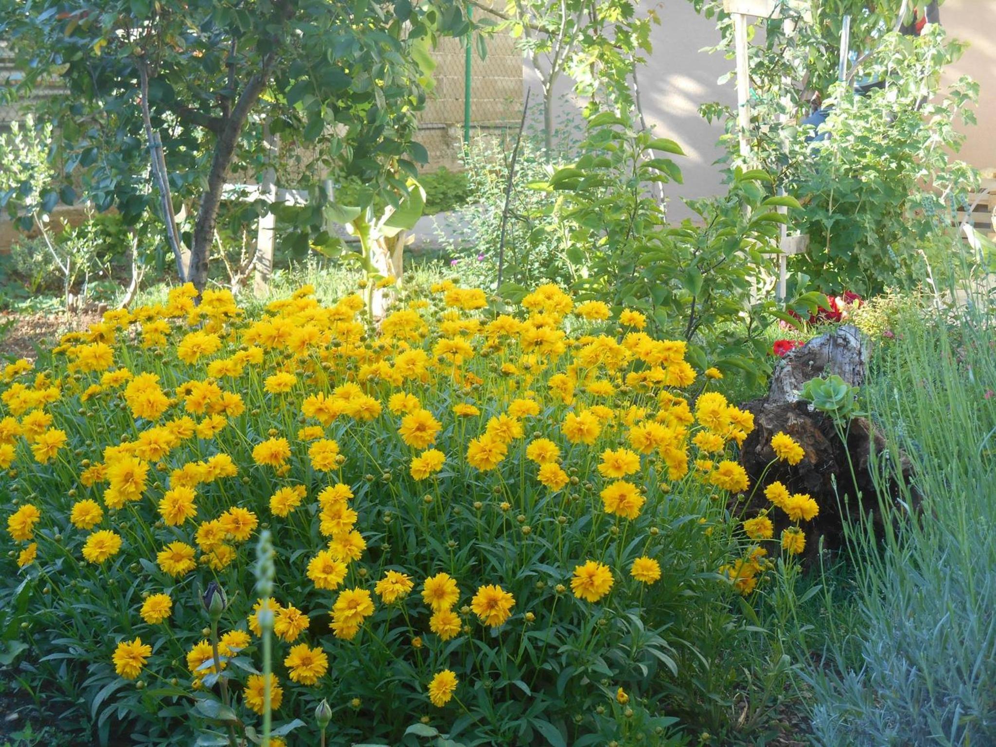 Photo 46
