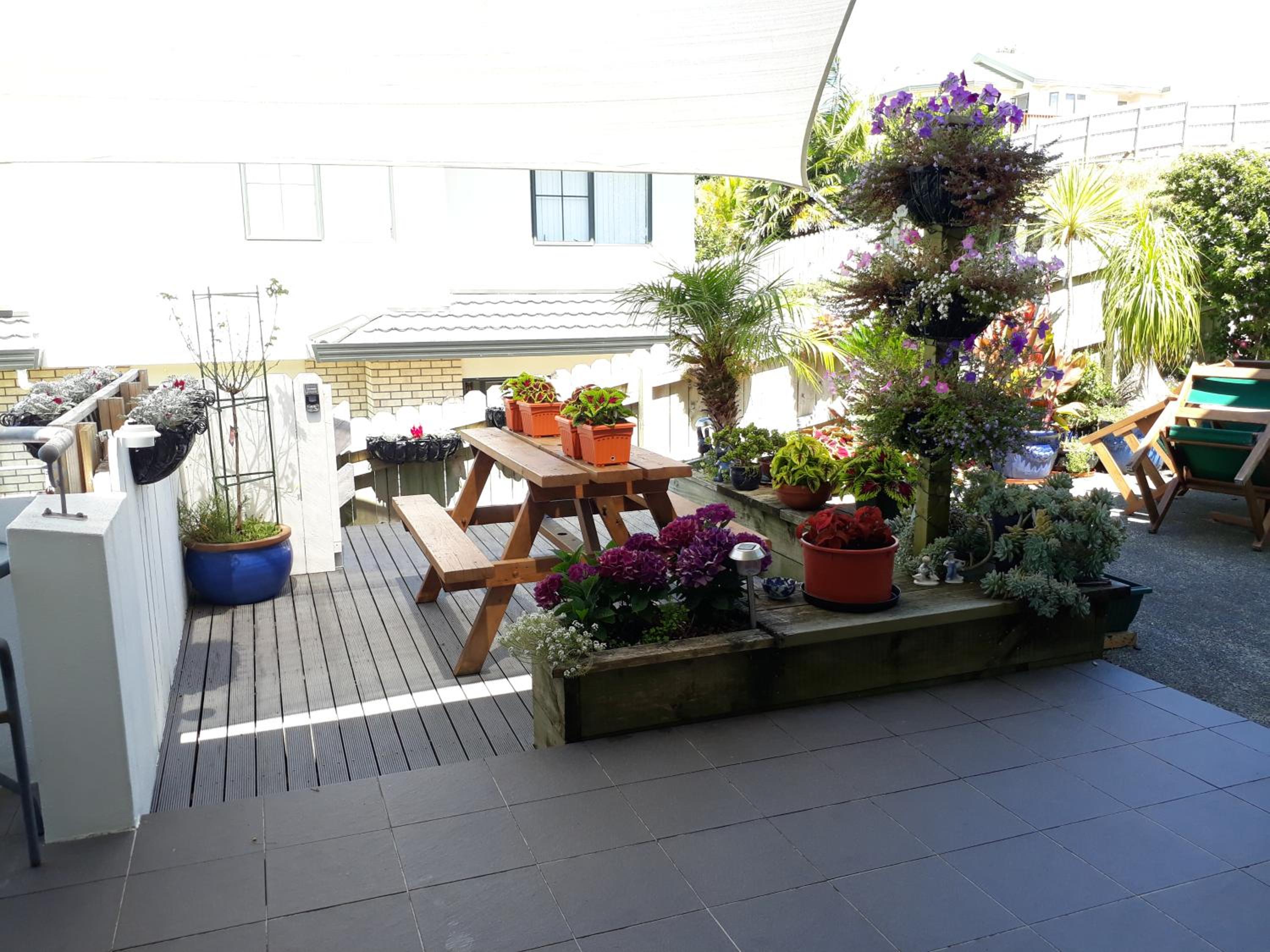 Lush & Co Auckland Bed & Breakfast