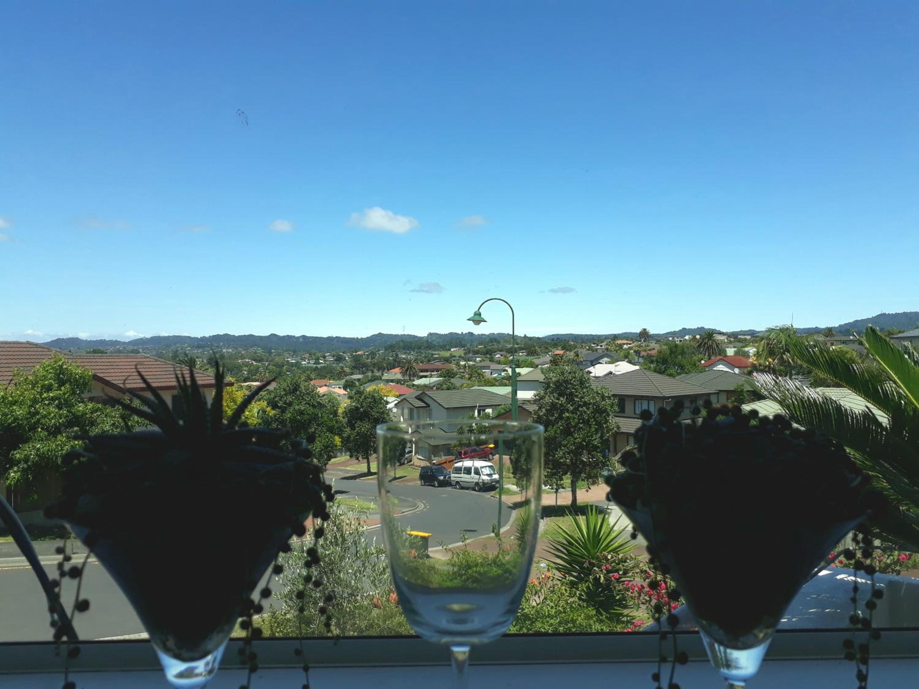 Lush & Co Auckland Bed & Breakfast