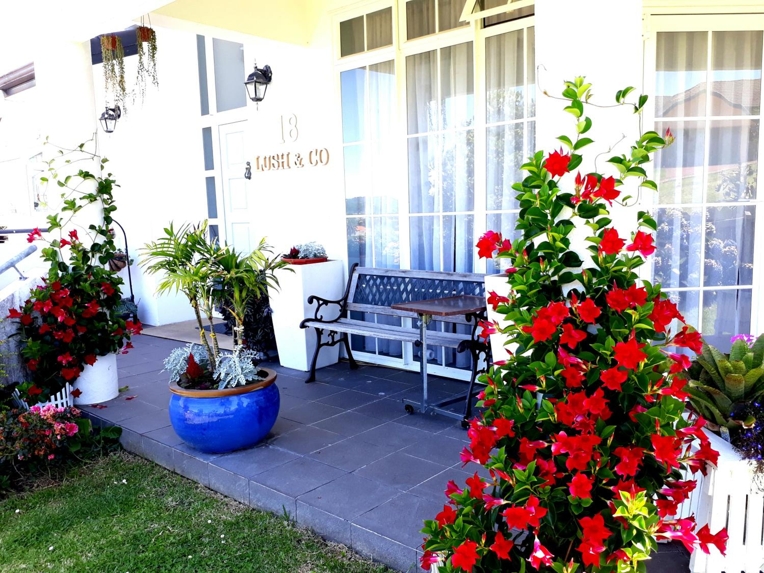 Lush & Co Auckland Bed & Breakfast