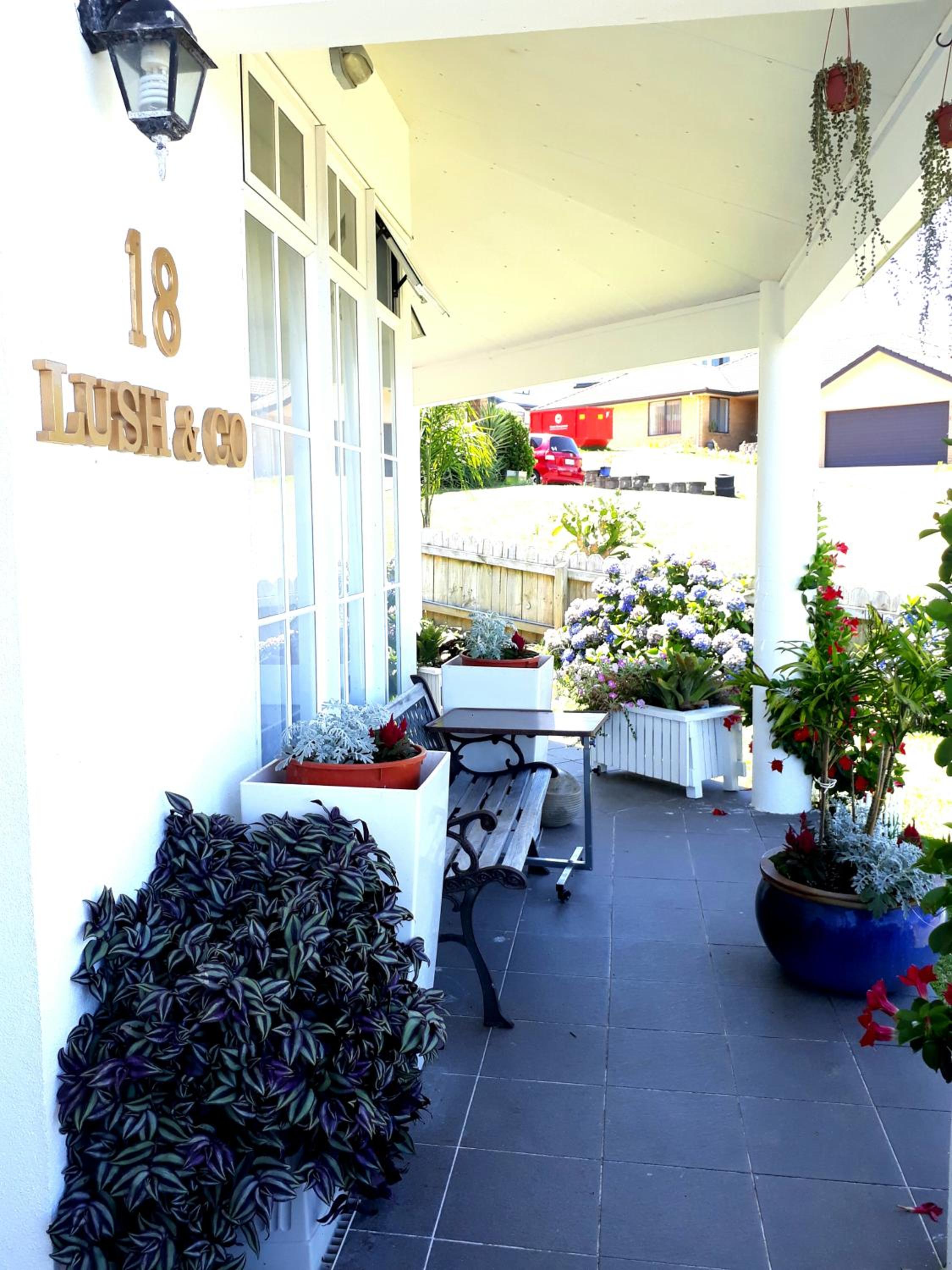 Lush & Co Auckland Bed & Breakfast