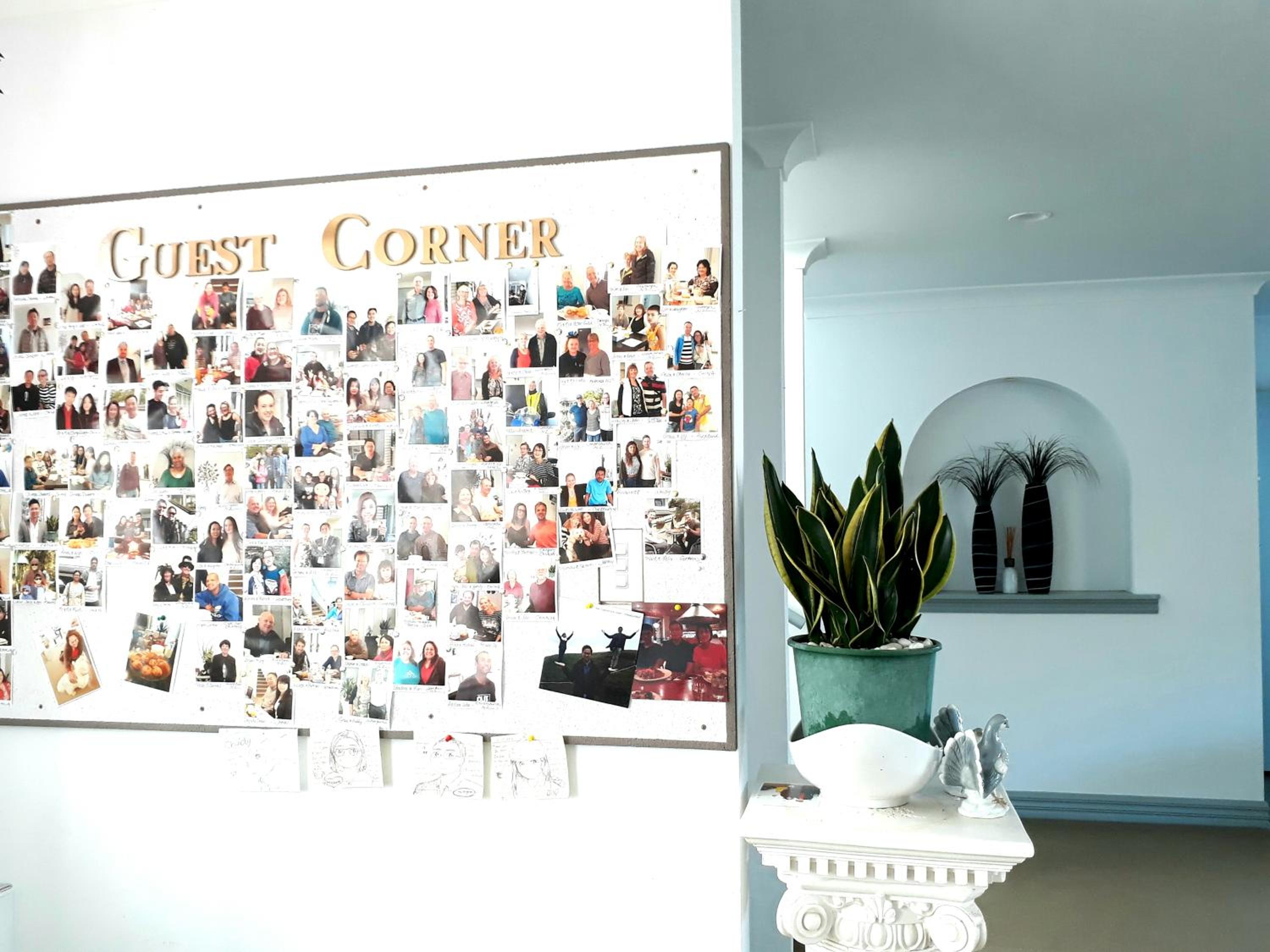 Lush & Co Auckland Bed & Breakfast