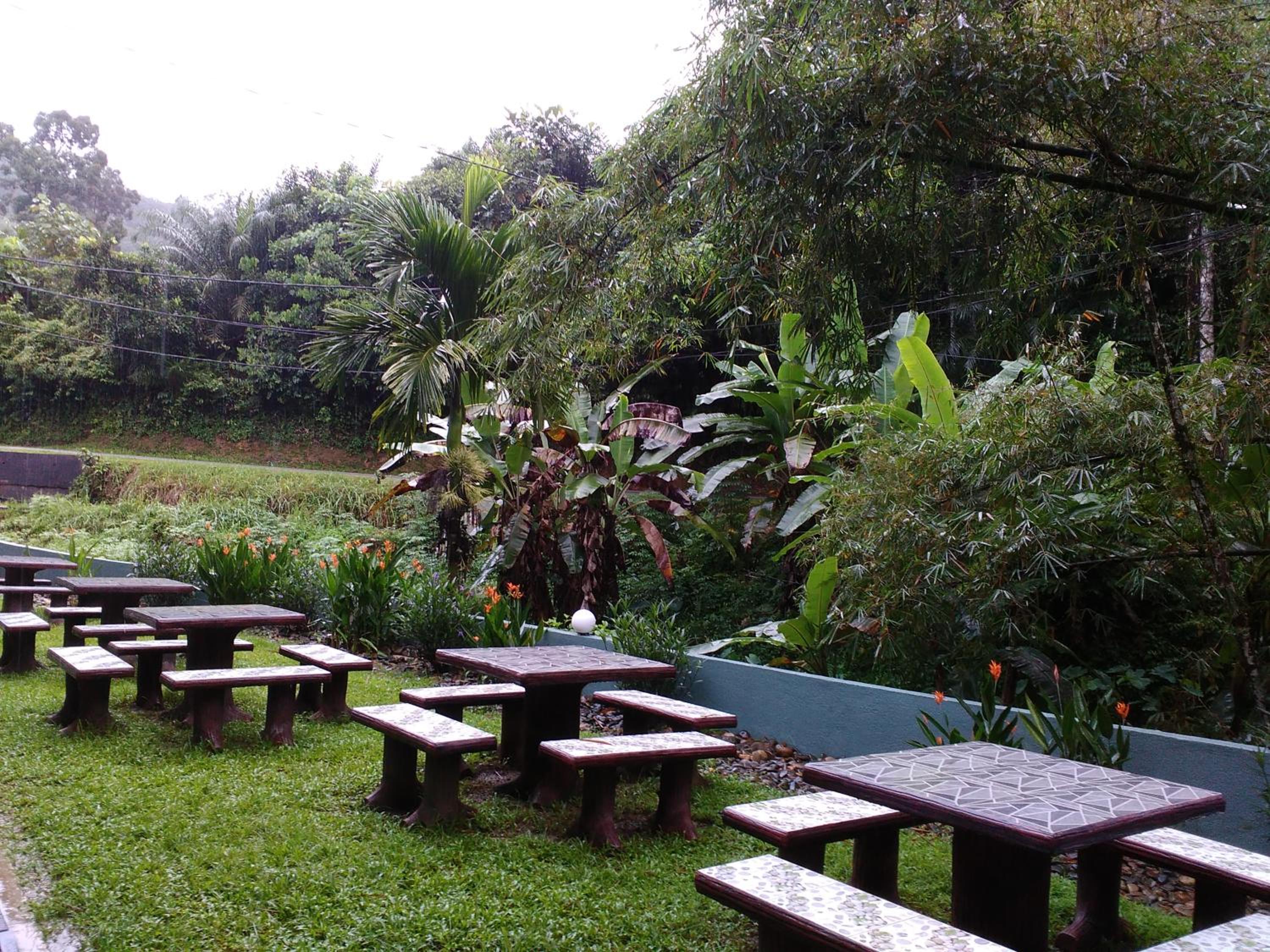 Green Peace Sungai Lembing