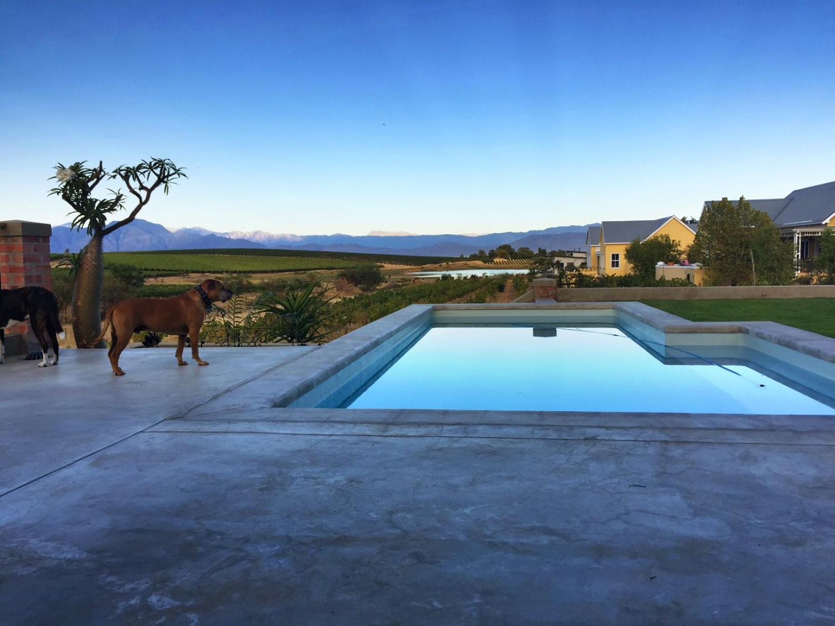 Vineyard Views Country House