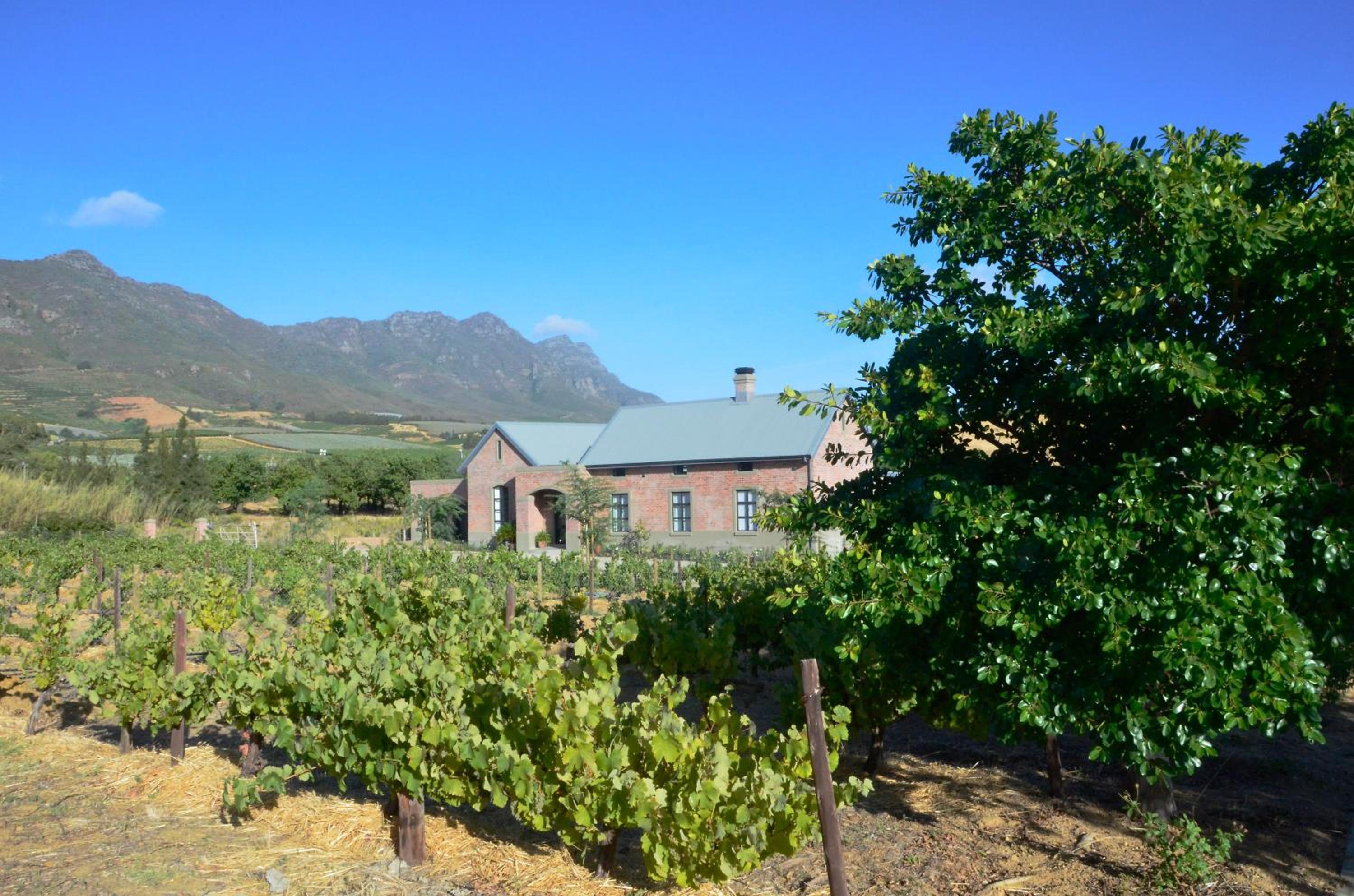 Vineyard Views Country House