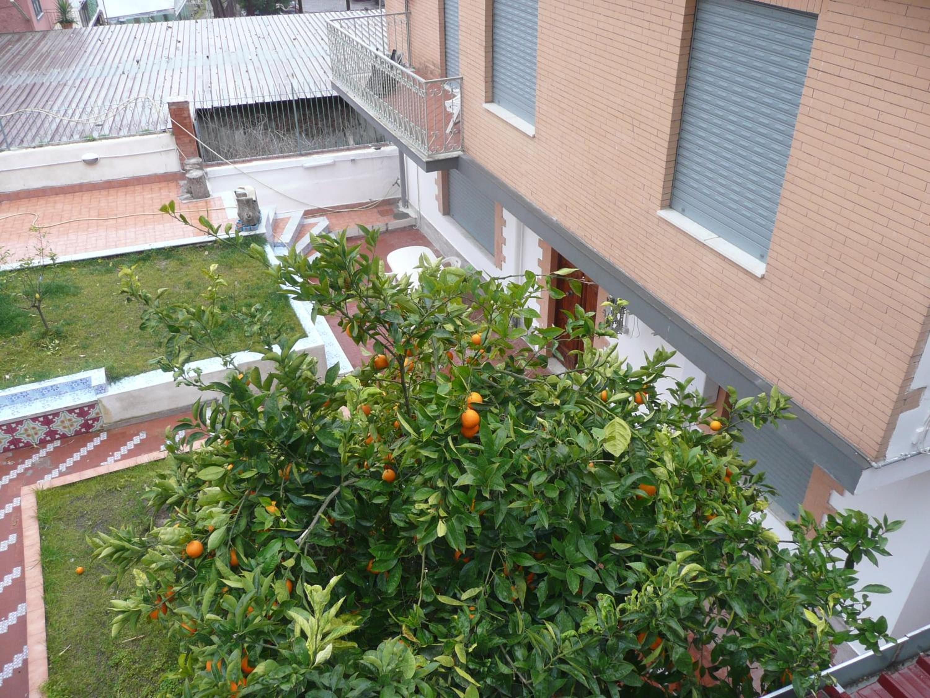 Photo 38