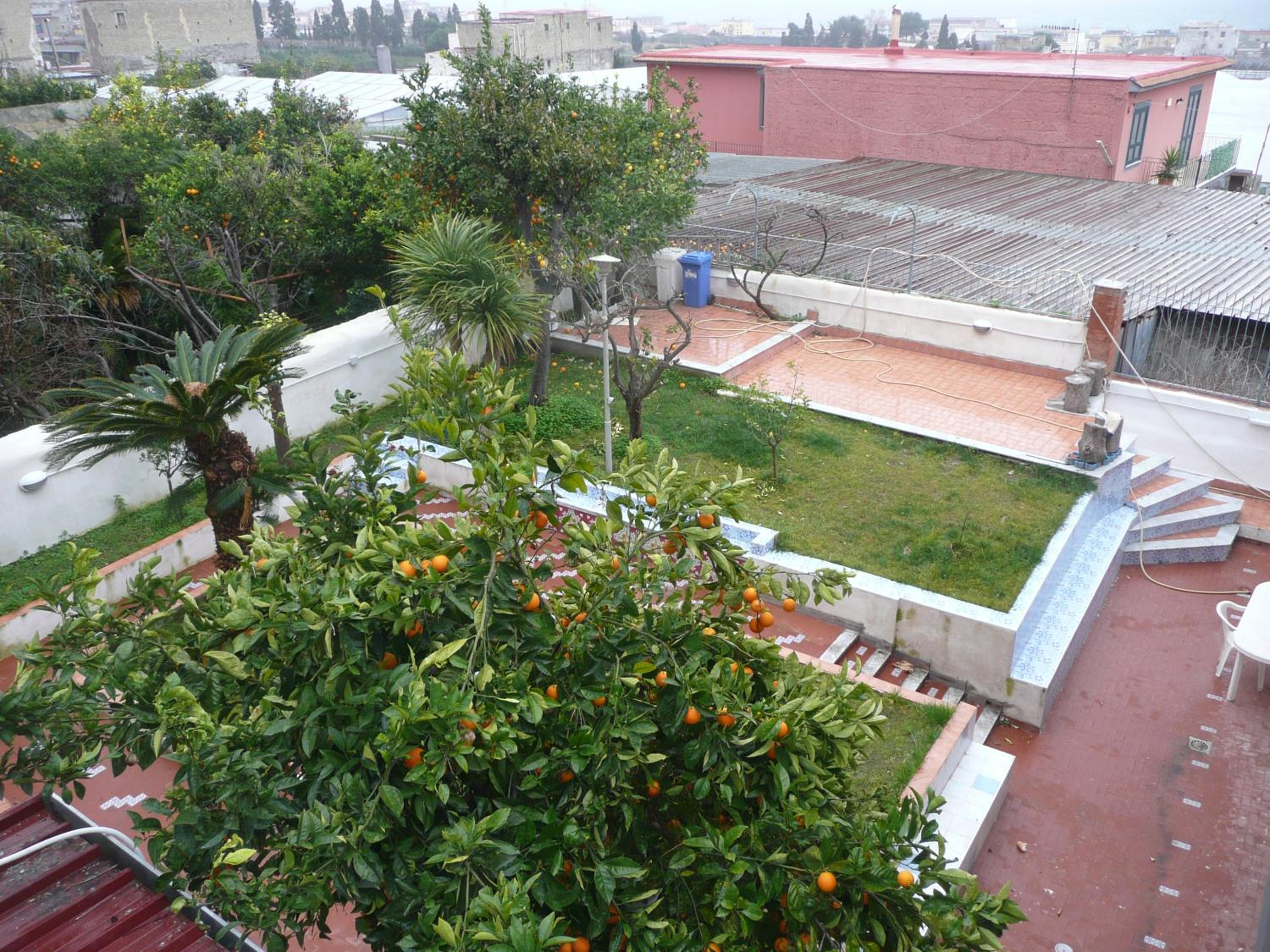 Photo 40