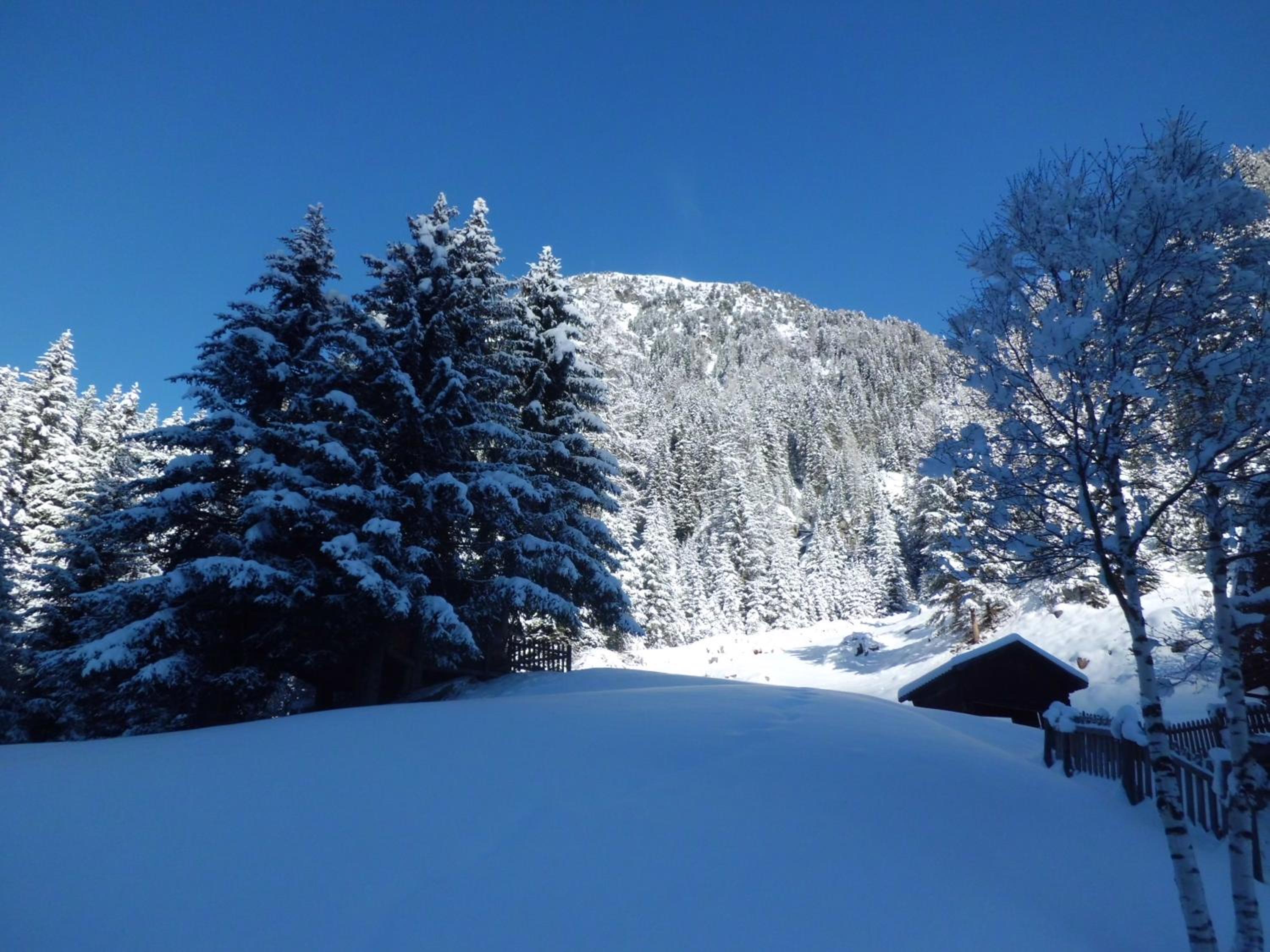 Pension Fürhapter mit Bio- Bauernhof