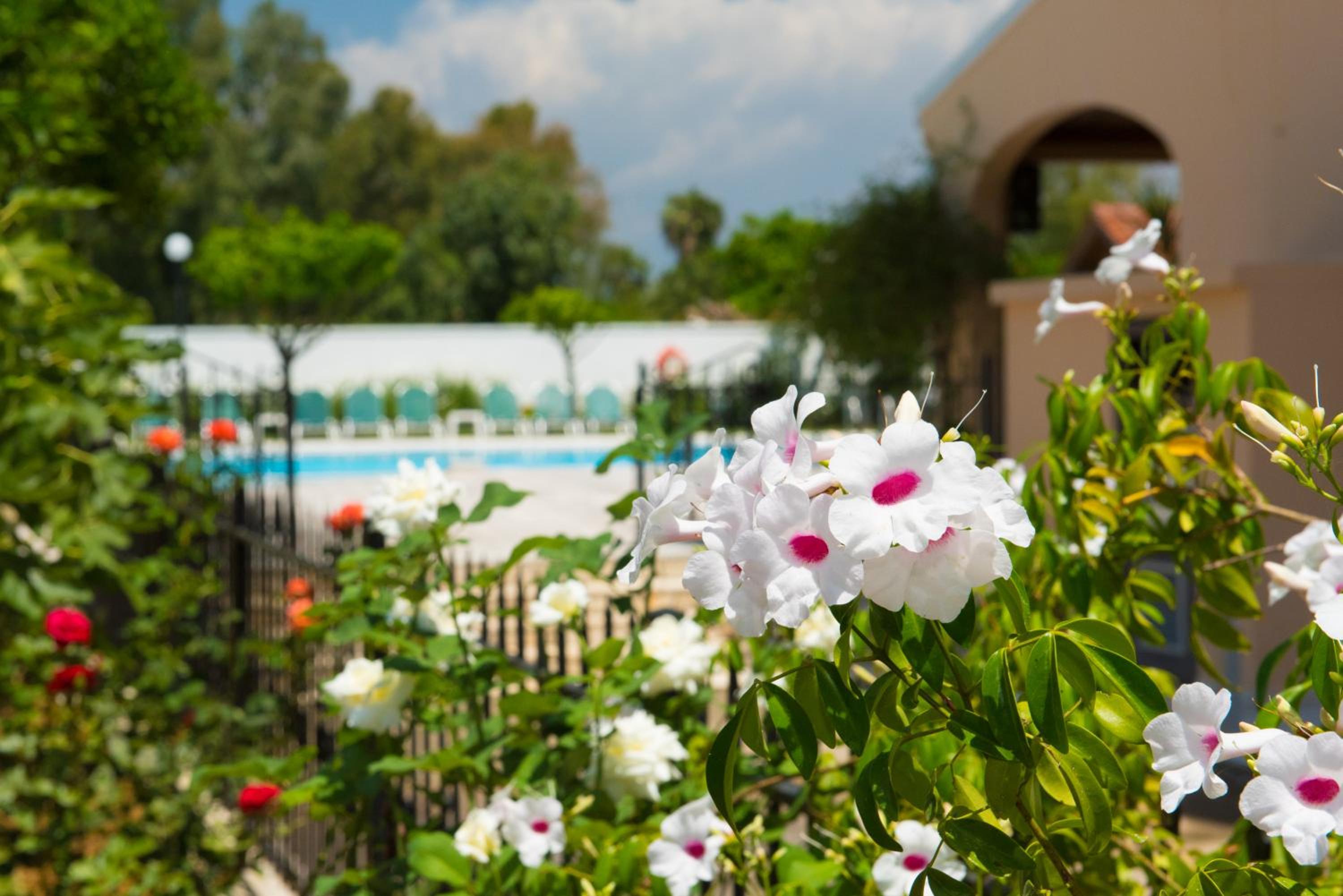 Sunset Hotel en Corfu Town — recepcion & lobby