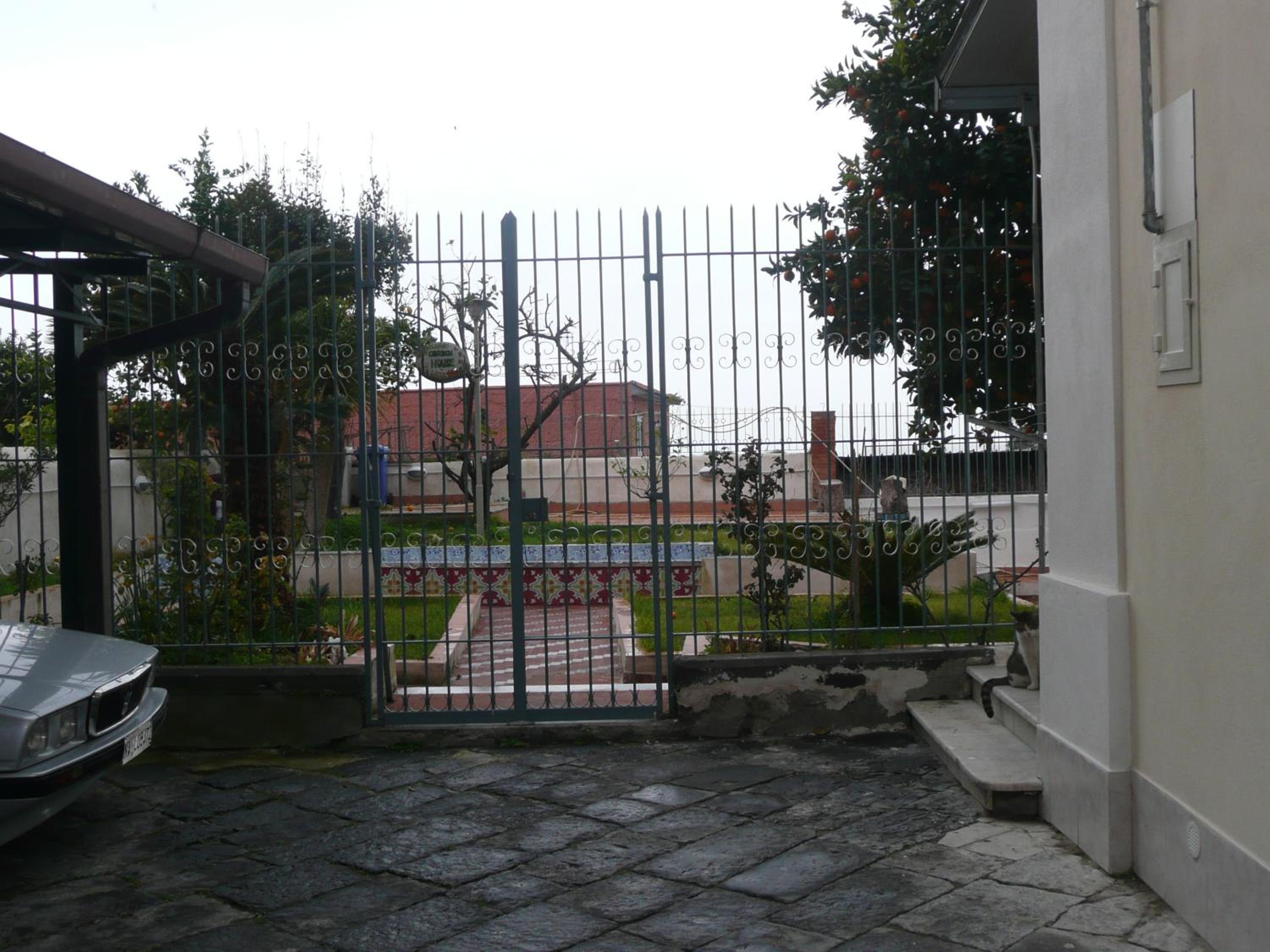 Photo 62