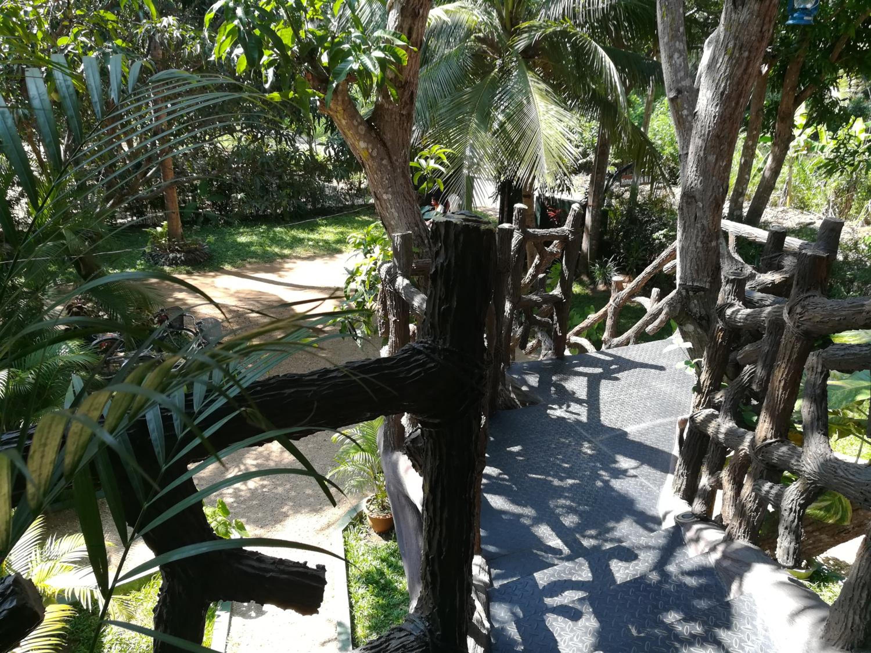 Photo 10