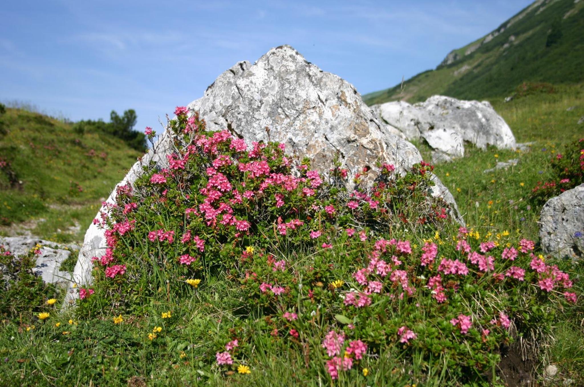Gasthof 