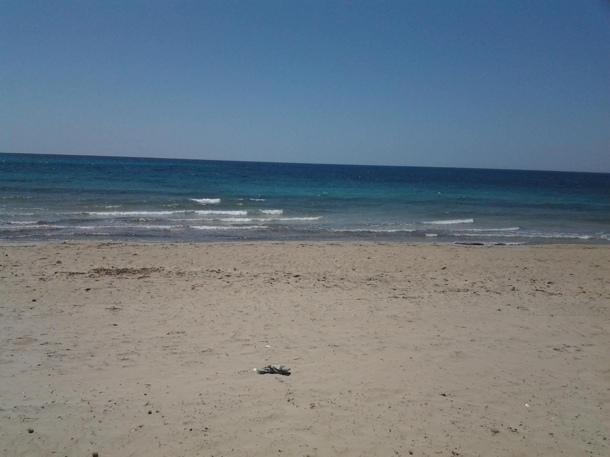 Photo 48