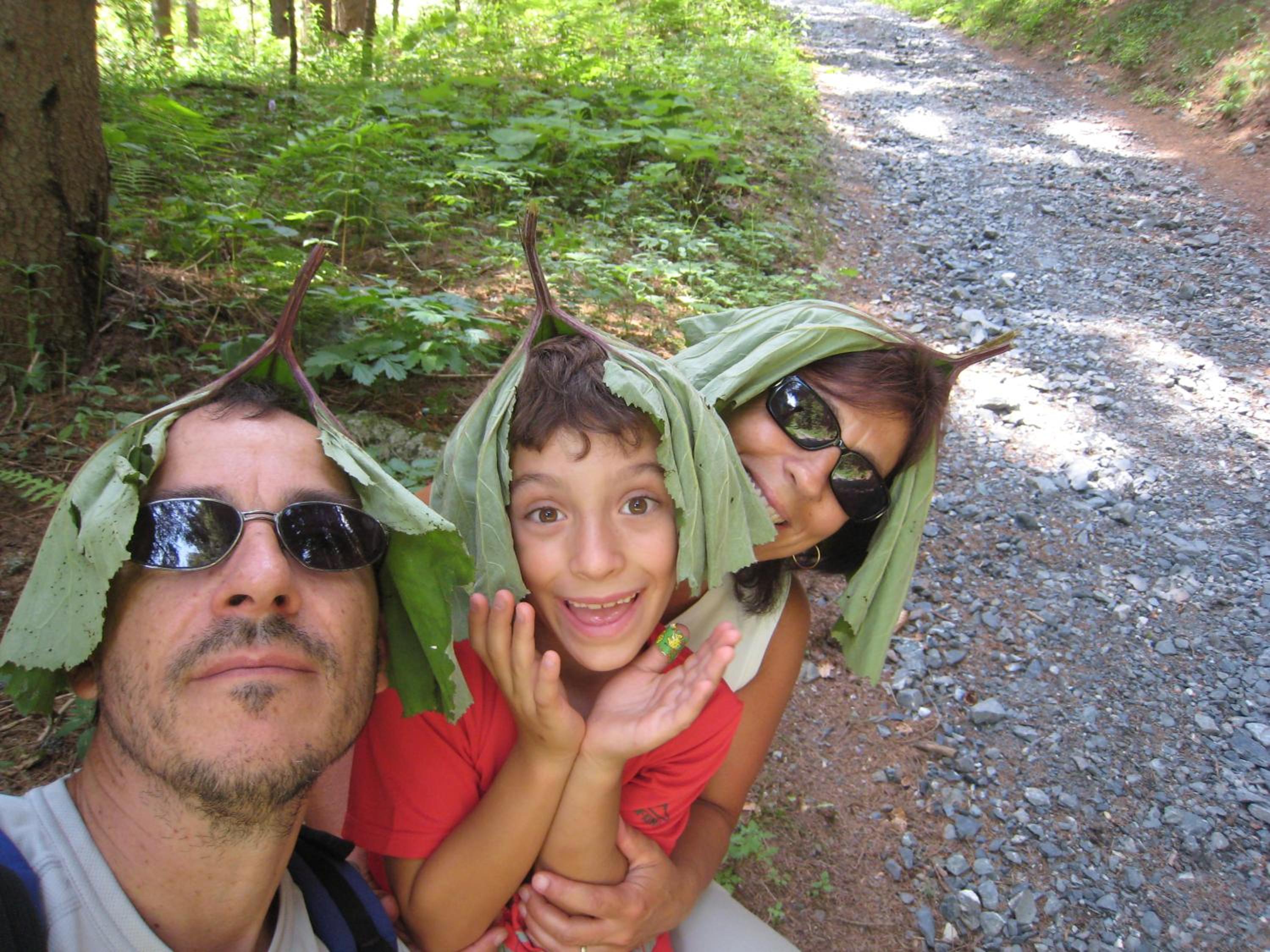 Photo 45