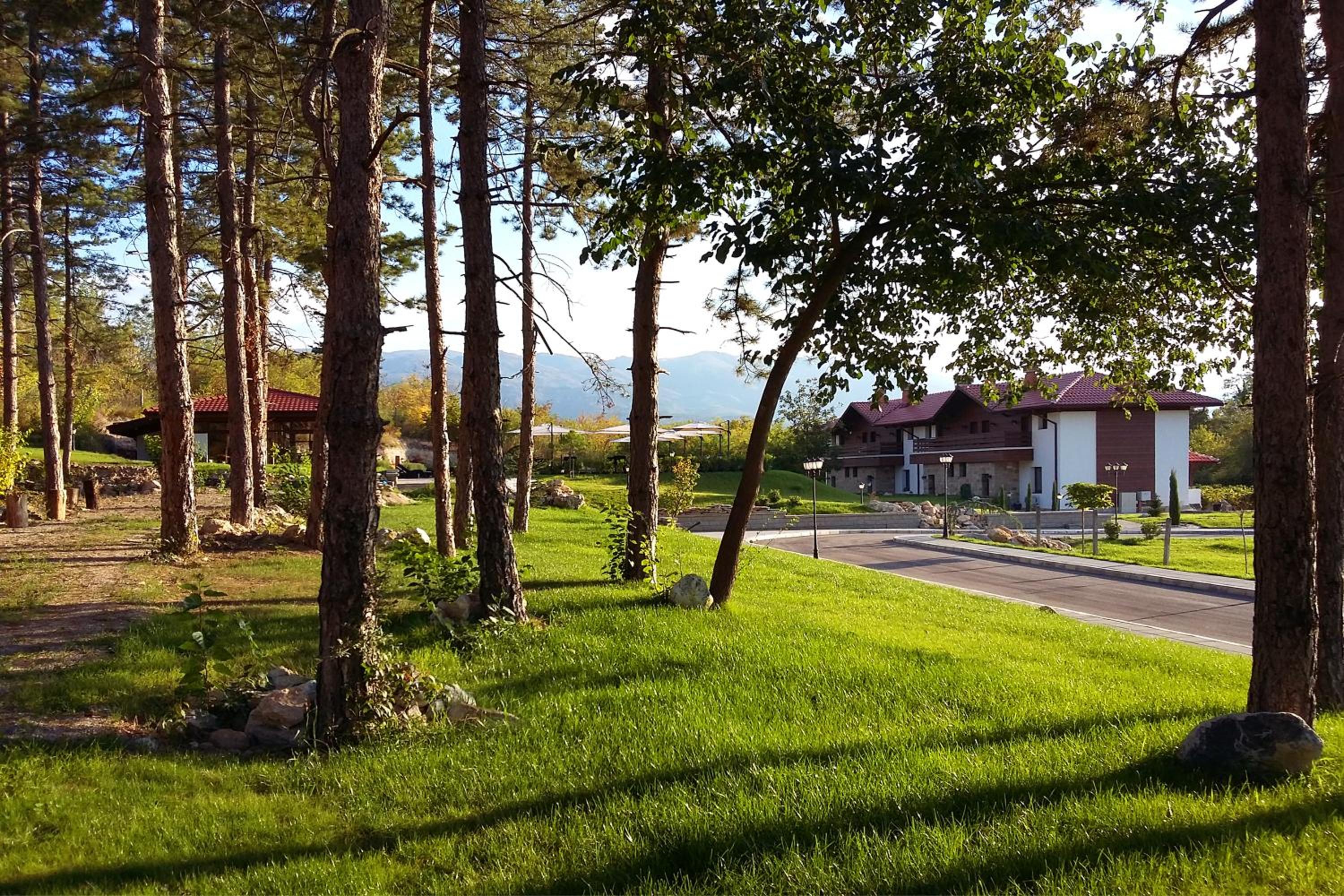 Esterra Vini Guest House