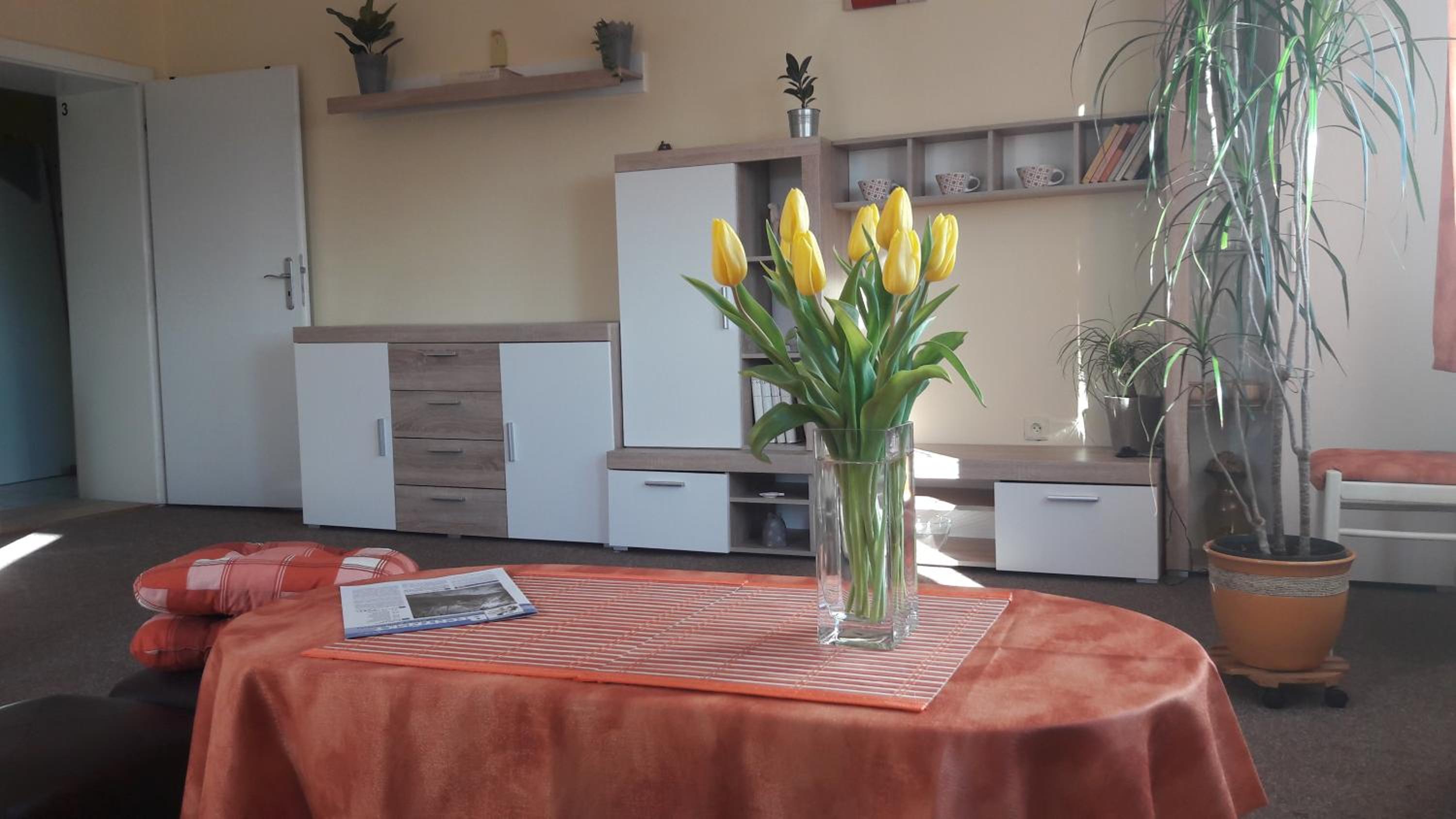 Villa Liduška s kavárnou