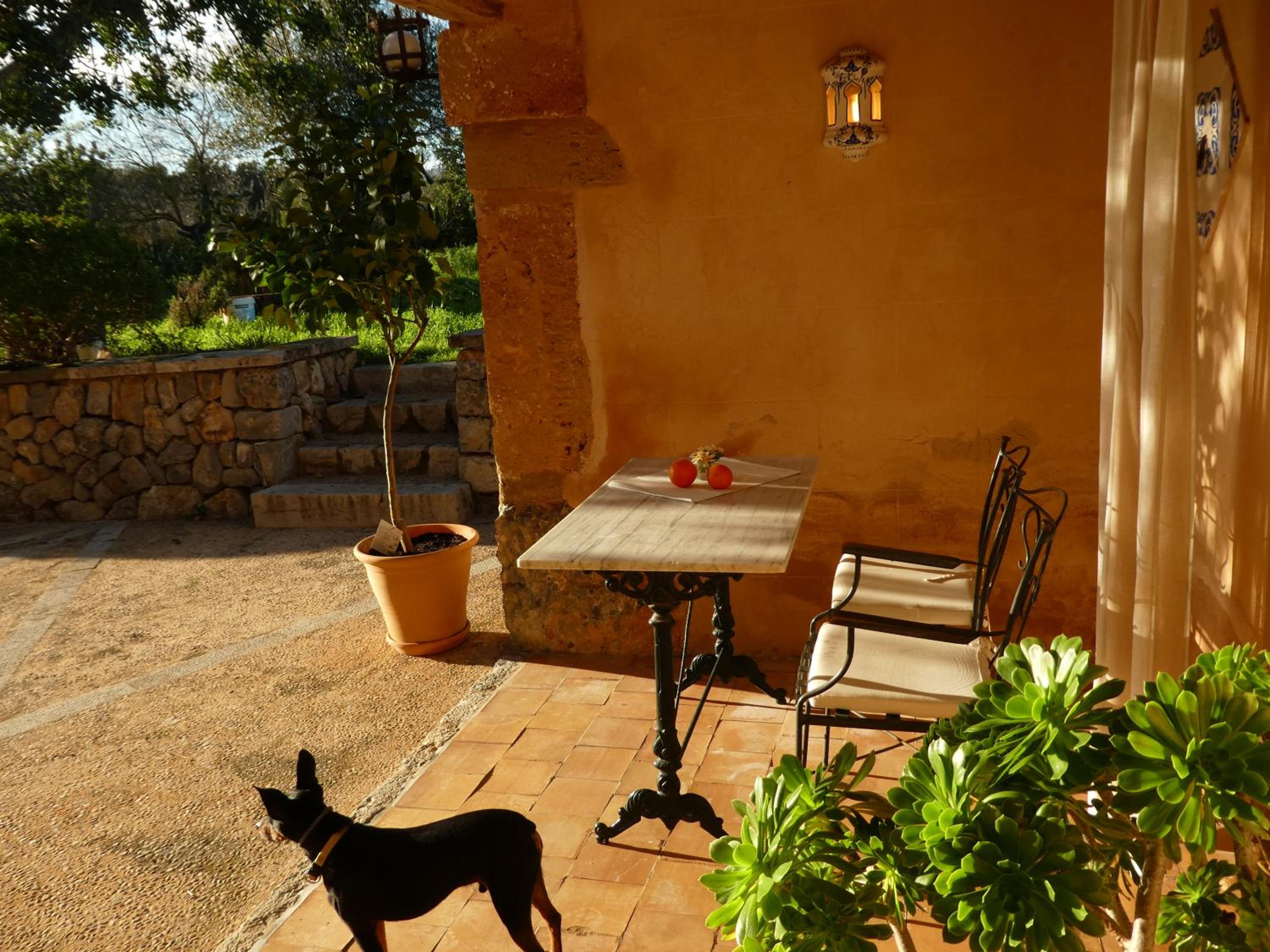 Finca Can Estades