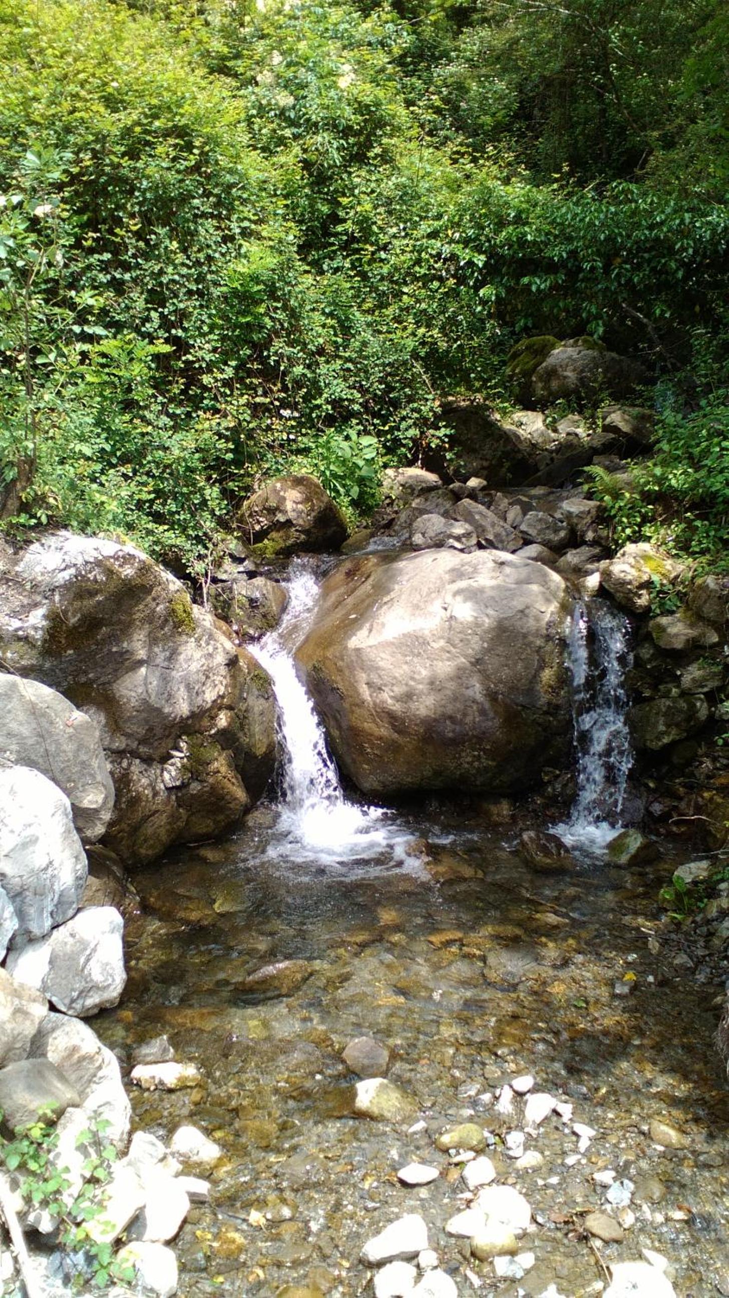 Photo 49