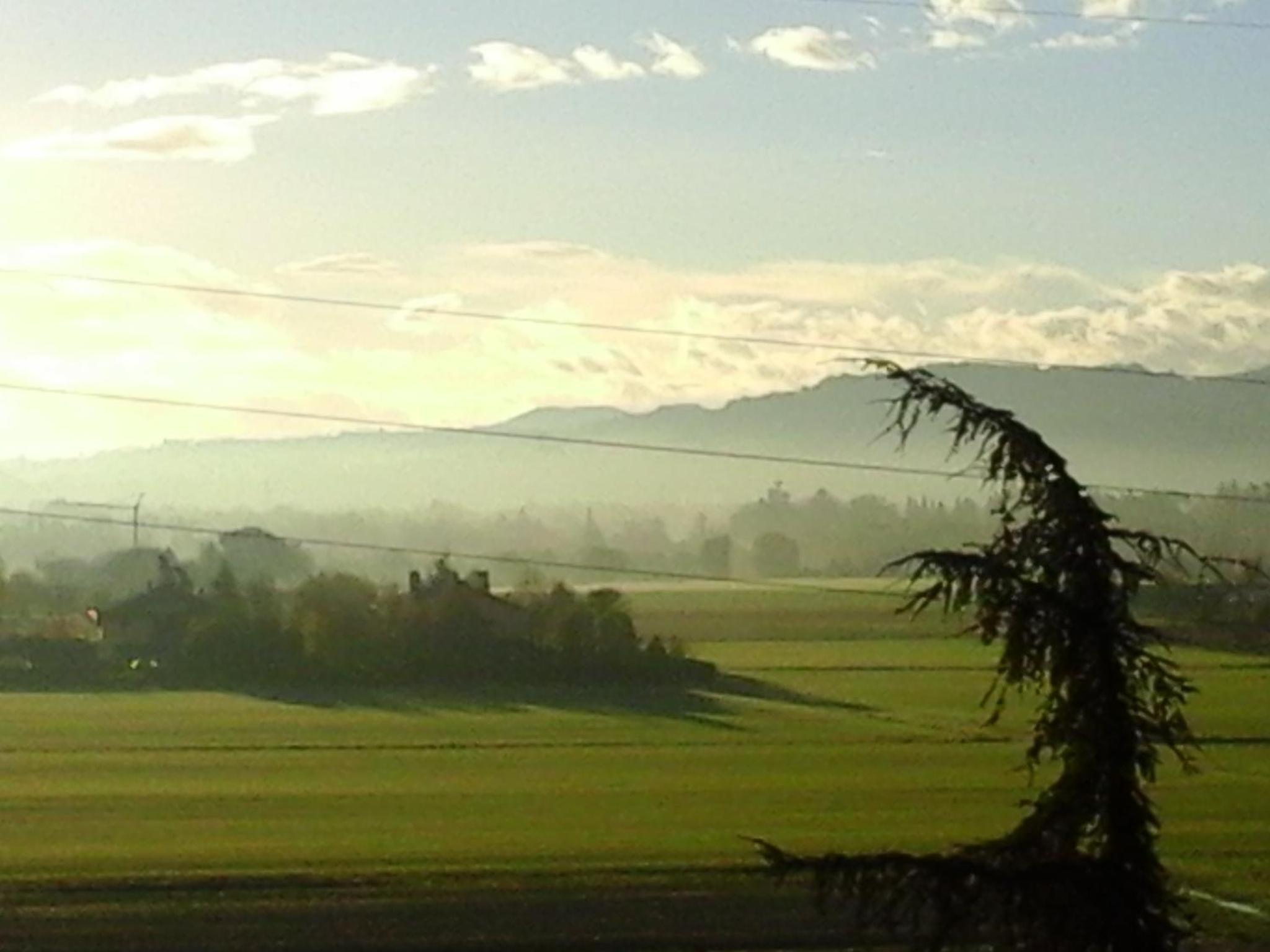 A different style B&B apartment photo 5