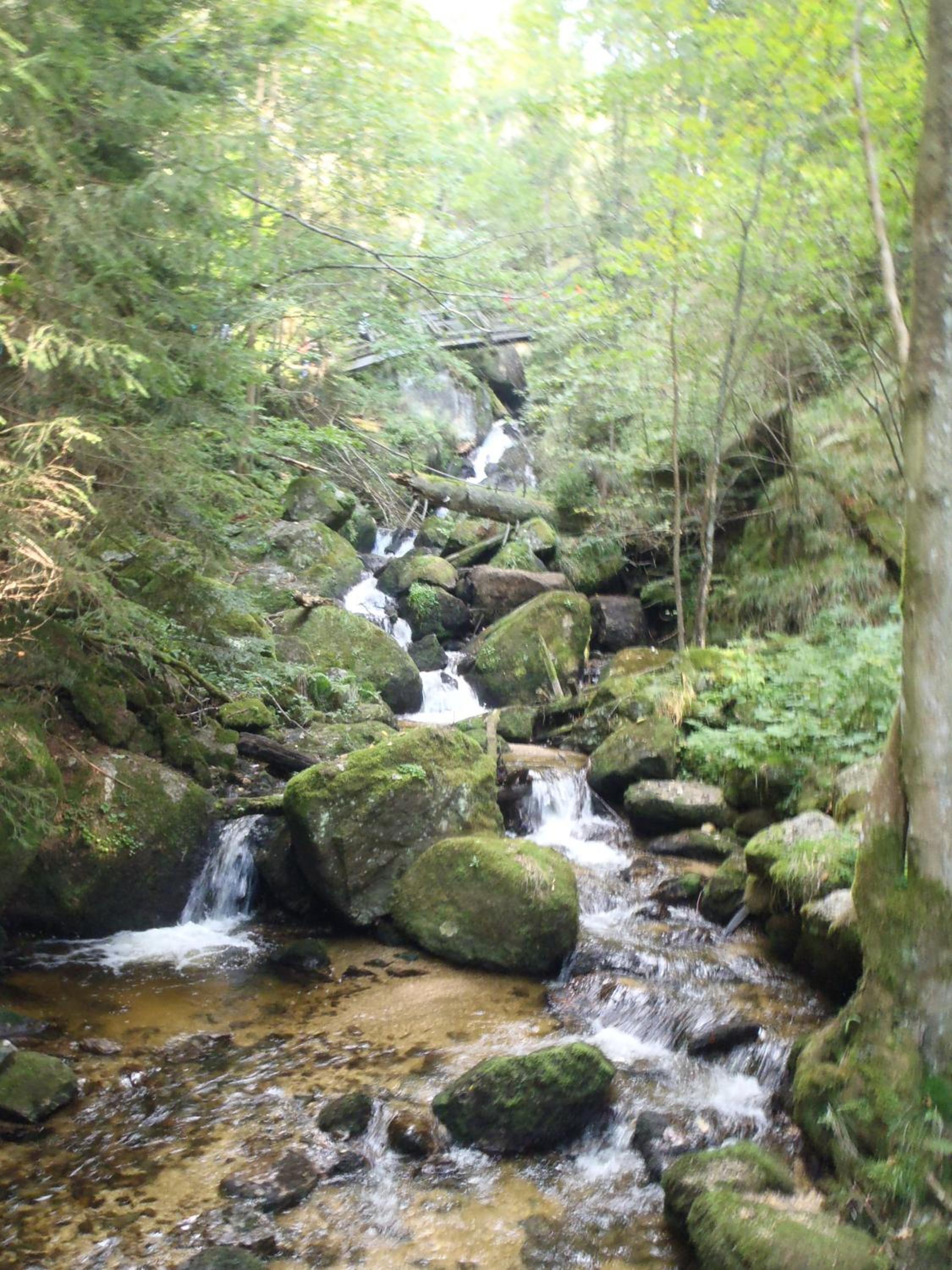 Bauernhof Waira