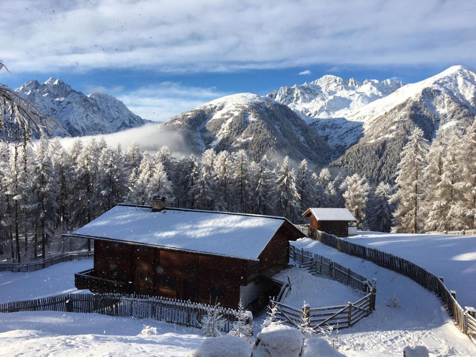 Almhütte Adlerhorst
