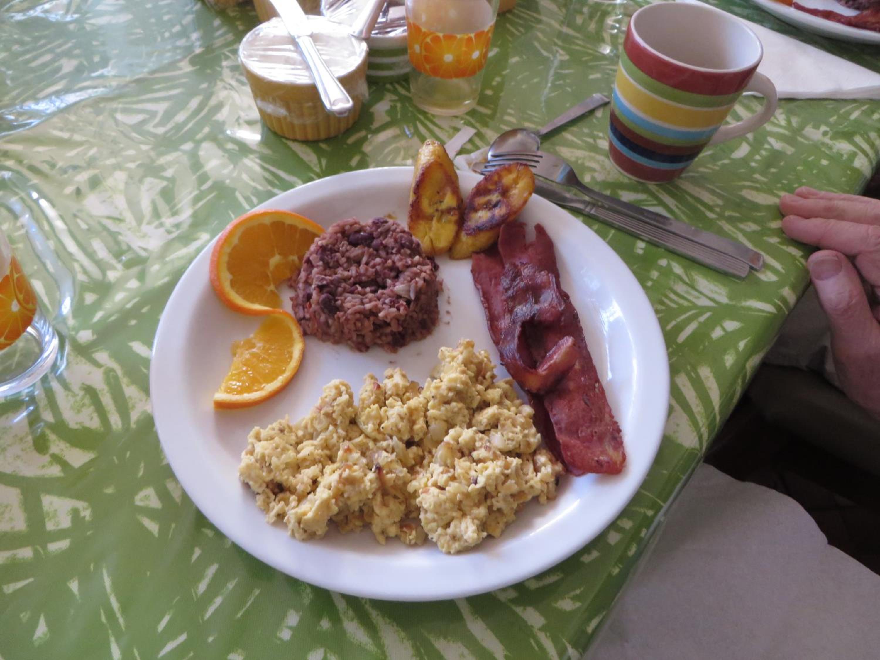 Cariari Bed & Breakfast