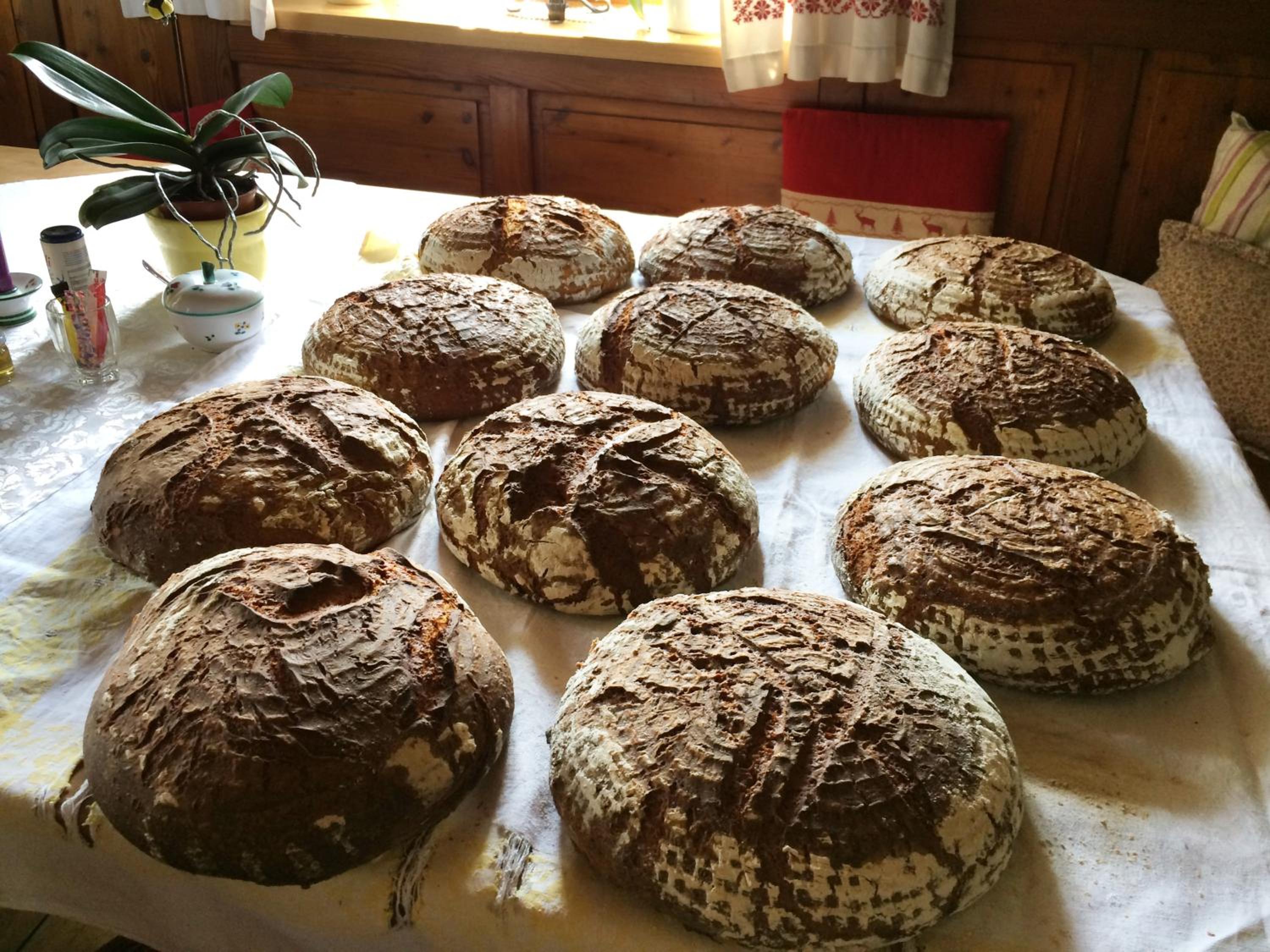 Photo 6