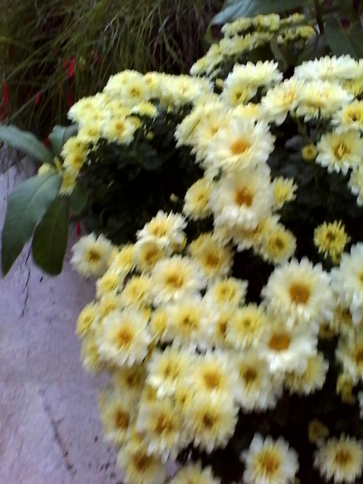 Photo 67