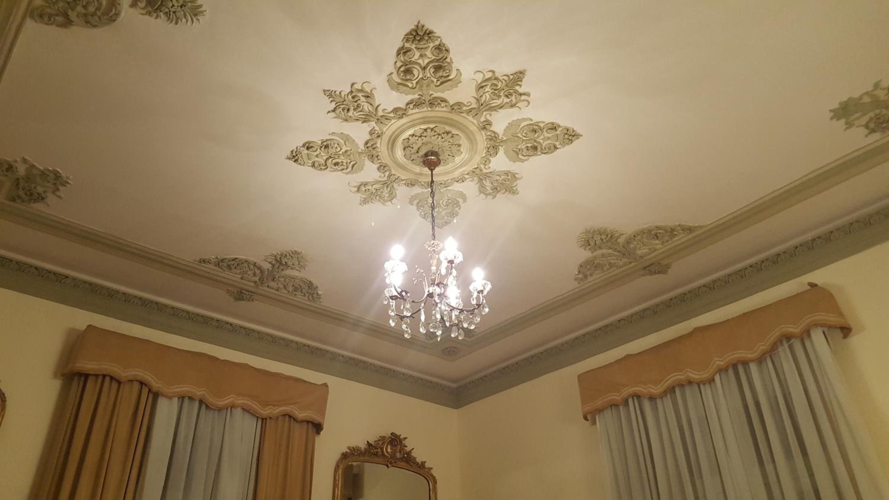 Garden Suite