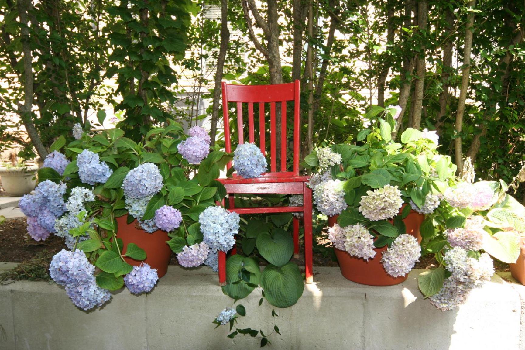 Hydrangea House Inn