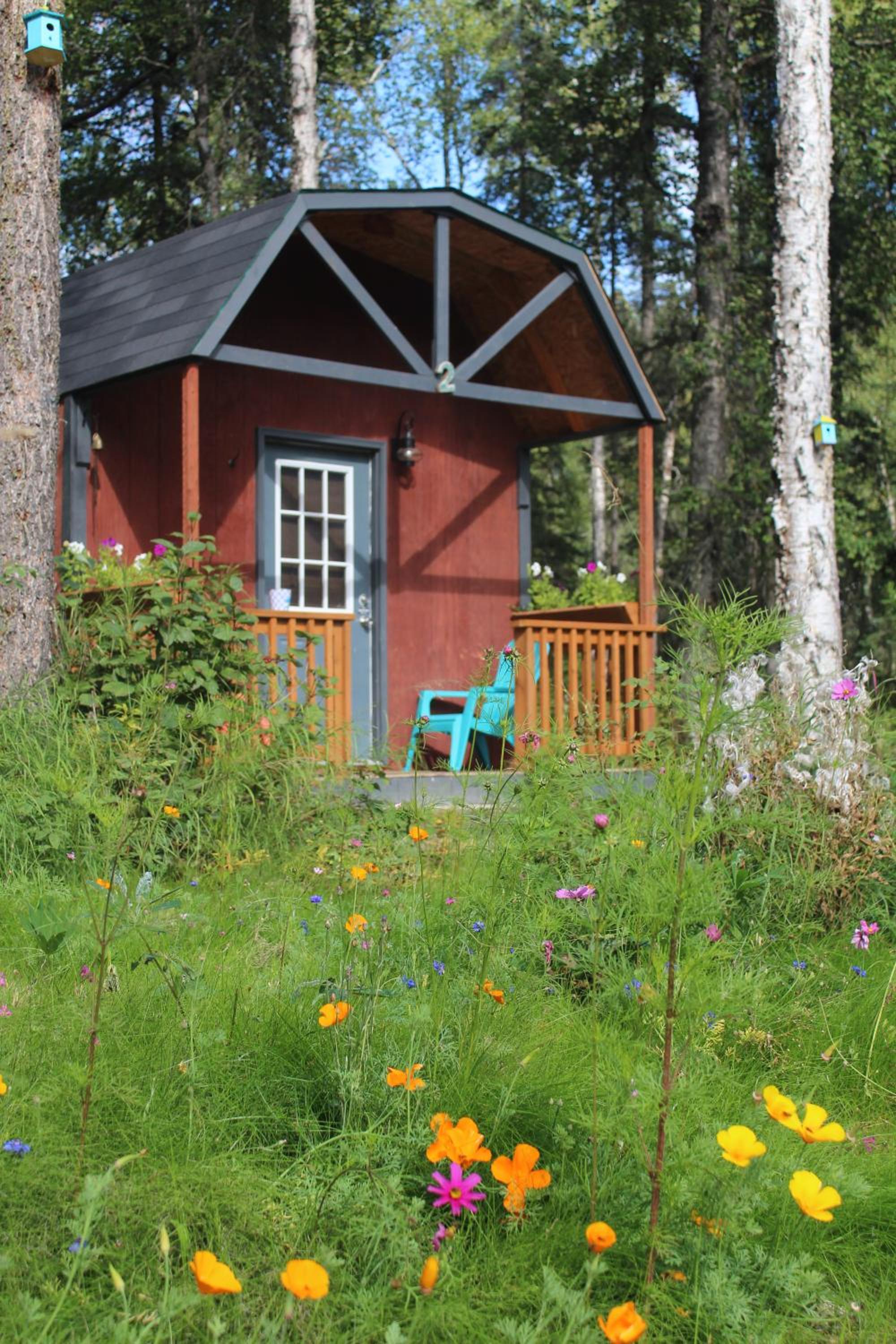 DFA Cabin Rentals view 4