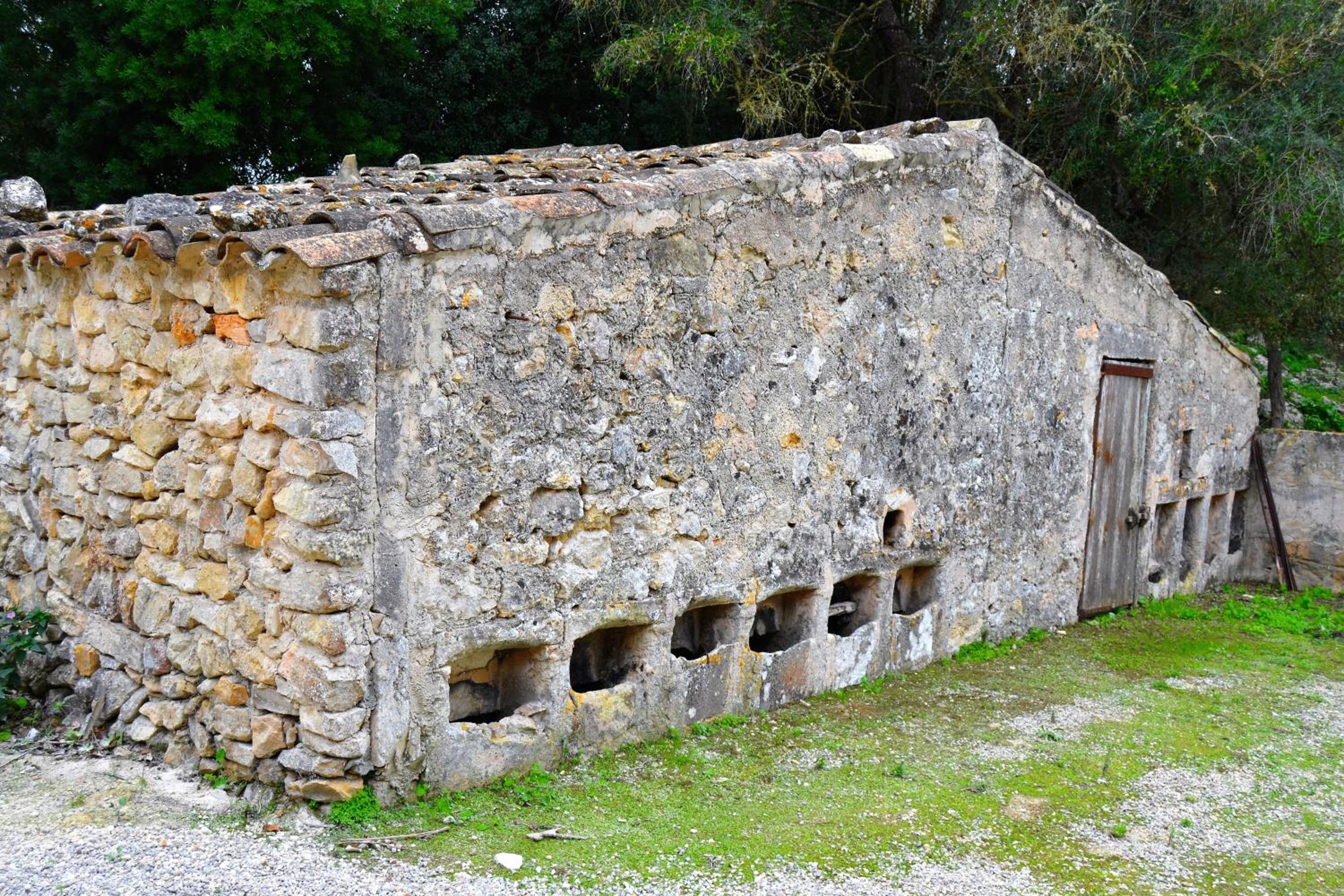 Agroturismo Son Sant Andreu