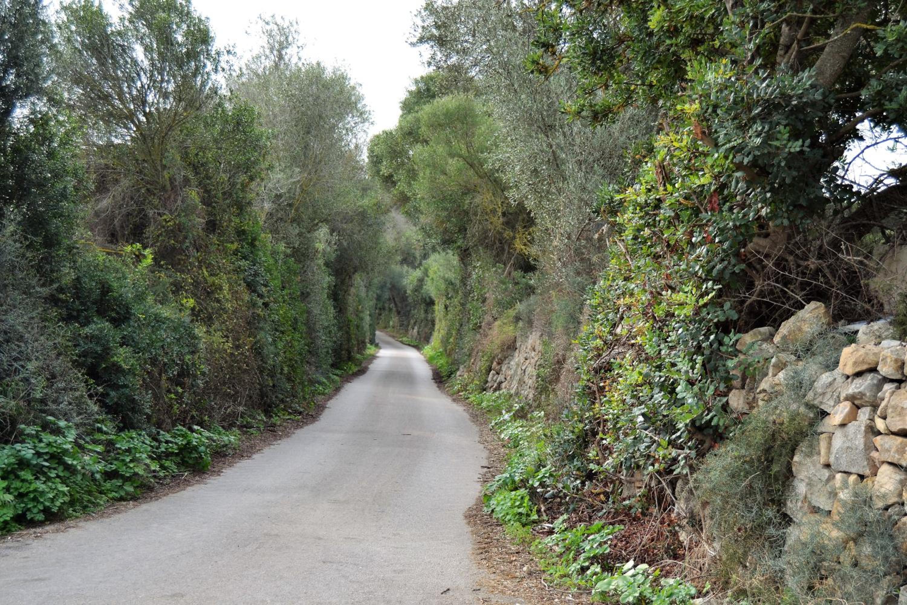 Agroturismo Son Sant Andreu