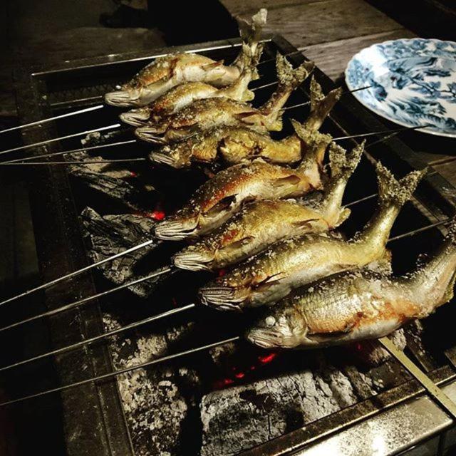 Photo 100